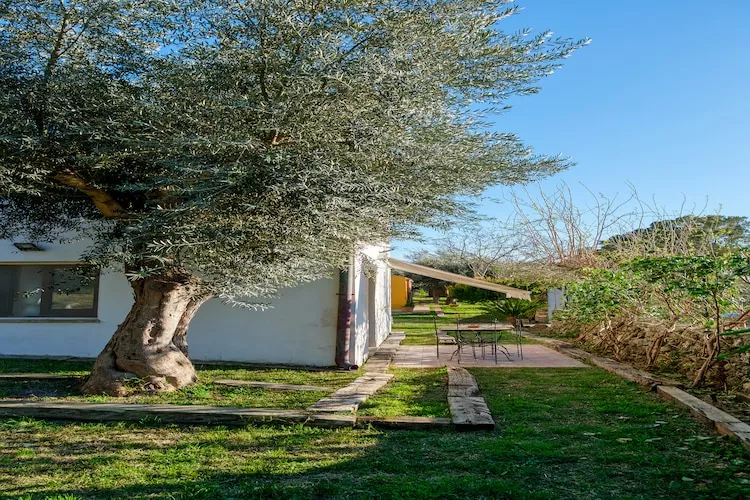 Sogni di Giove Casa Zeus - Im Freien