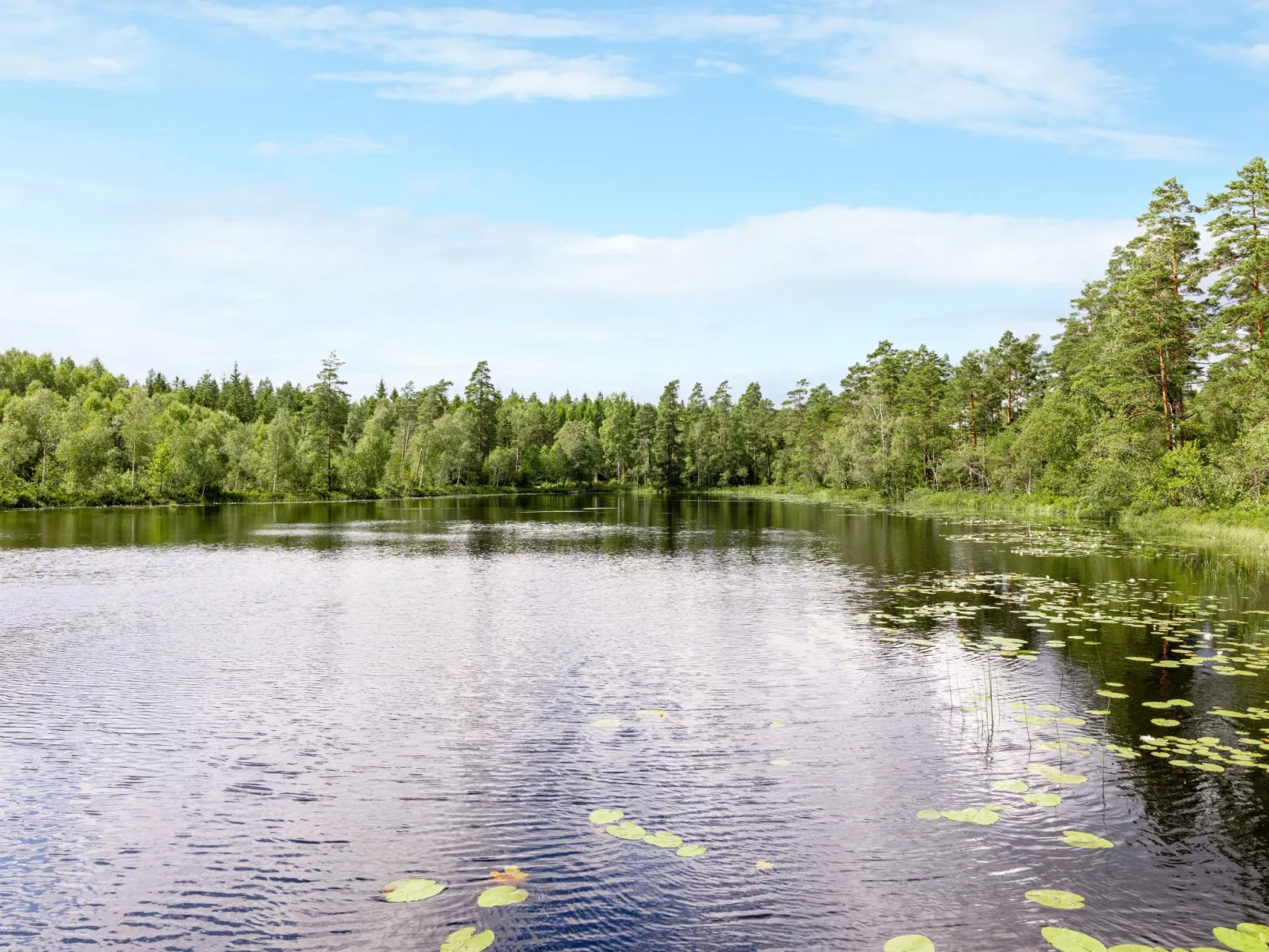 Hökagården-Outside