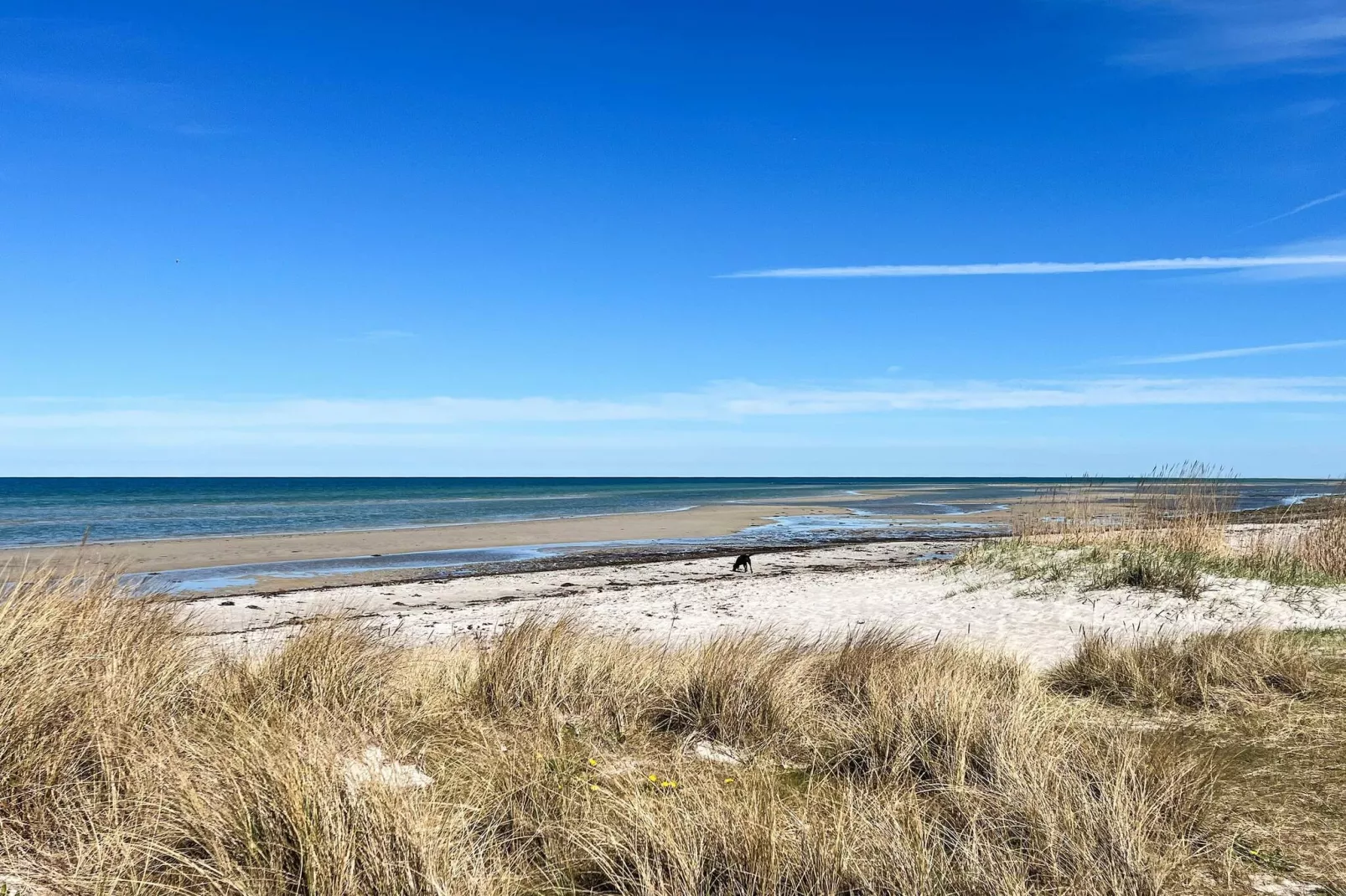 Maison de plage avec annexe - Vue