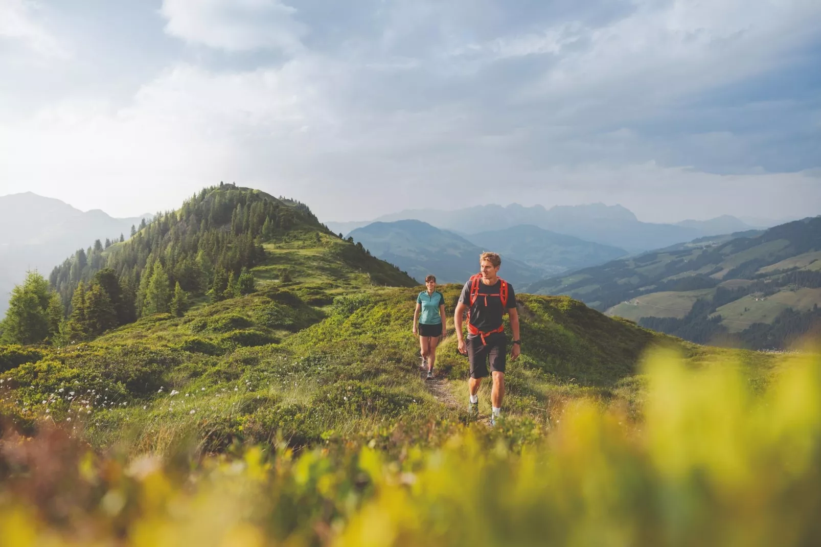Residenz Edelalm - Top 7 - Zones été à 5 km