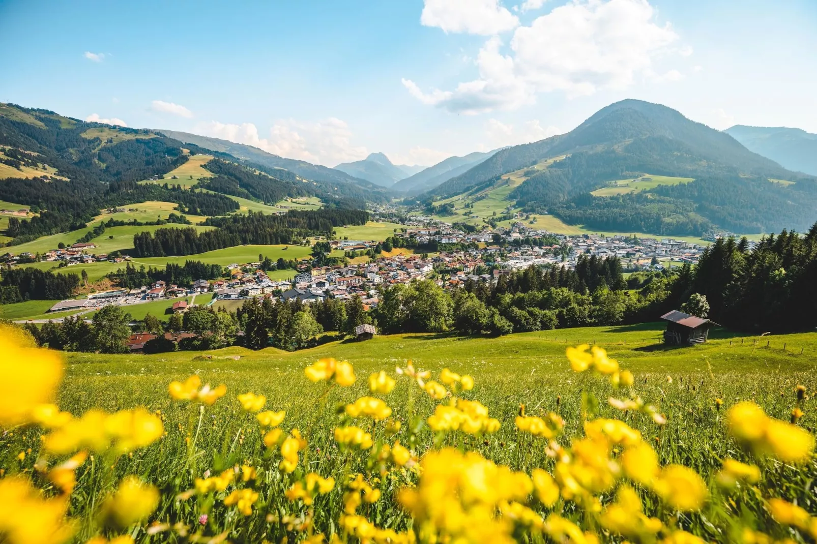 Residenz Edelalm - Top 2 - Gebiete Sommer 5 km