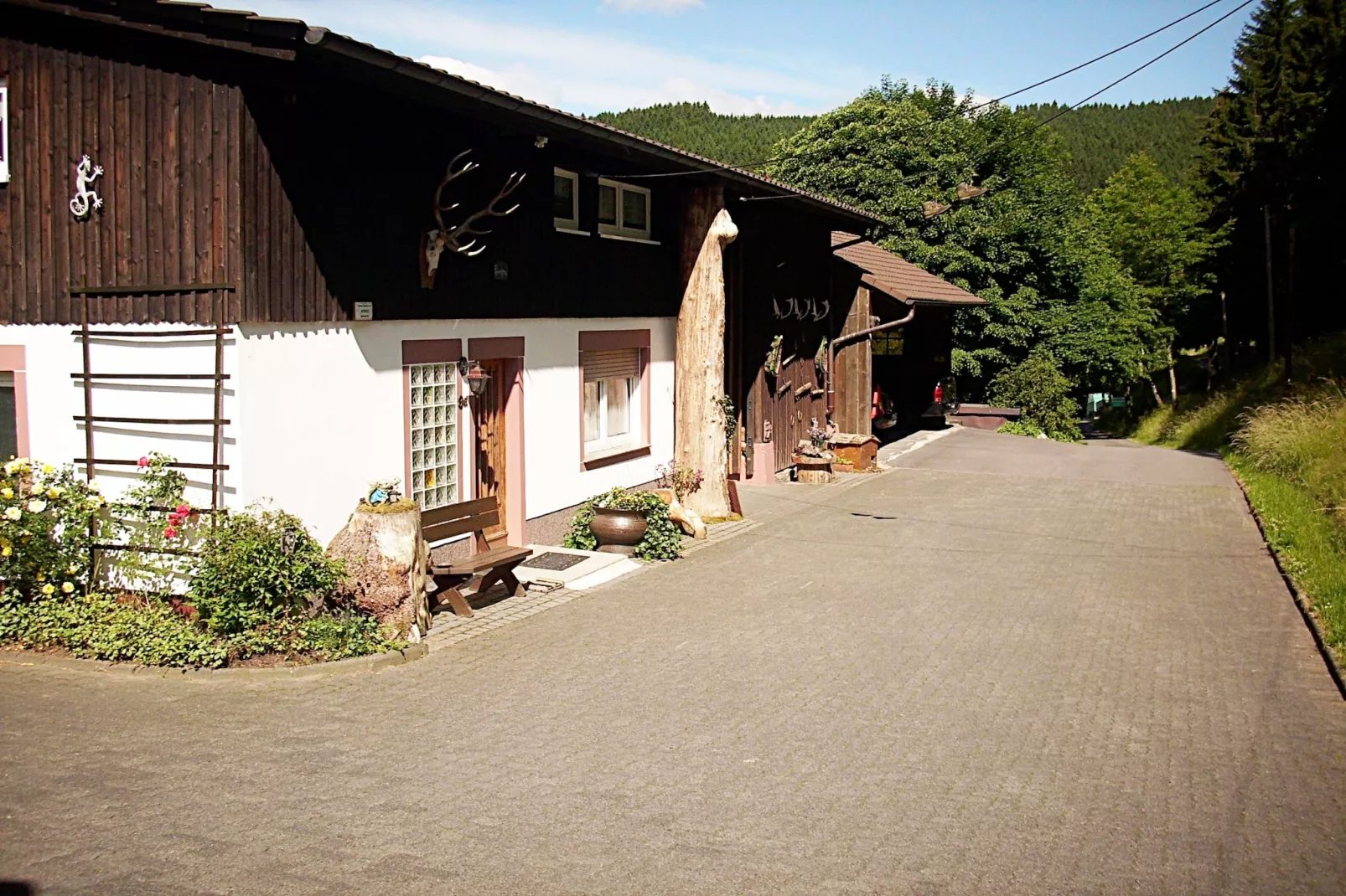 Am Damwildgehege - Außenbereich Sommer