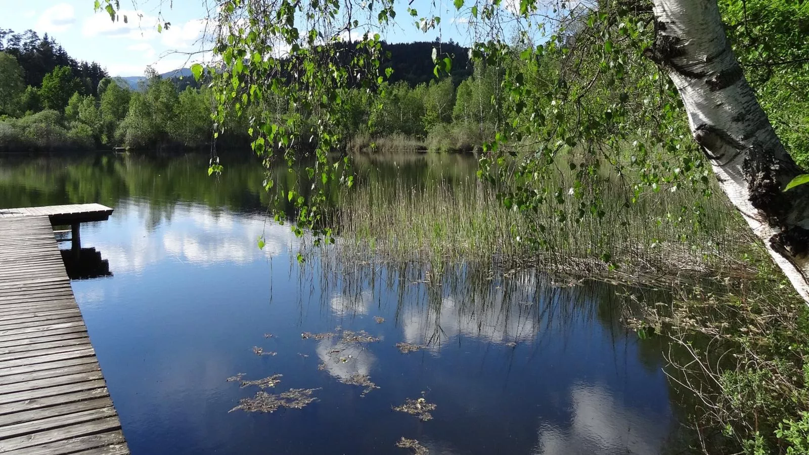 Karawankenpanorama L