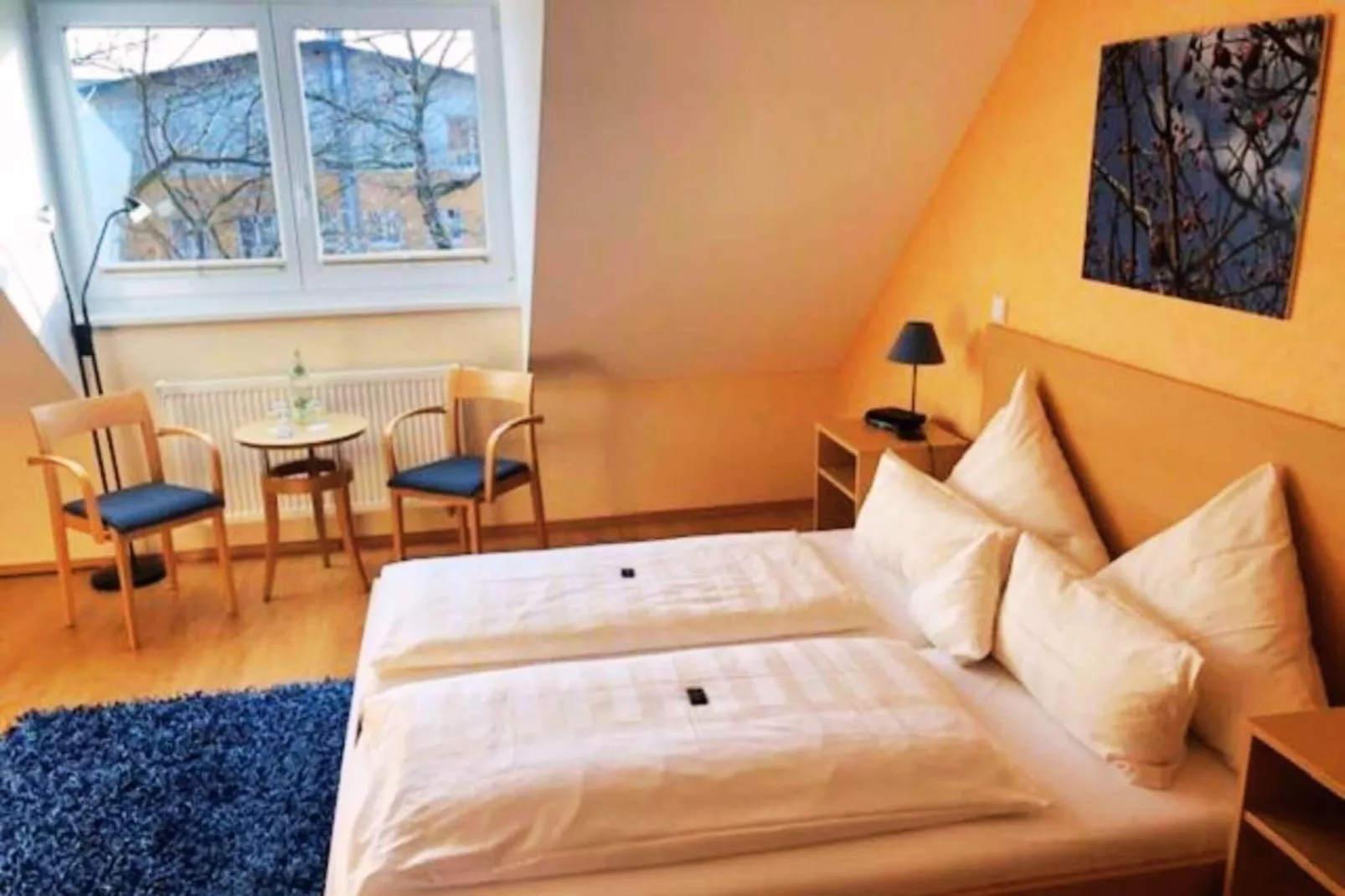 Standard Double Room