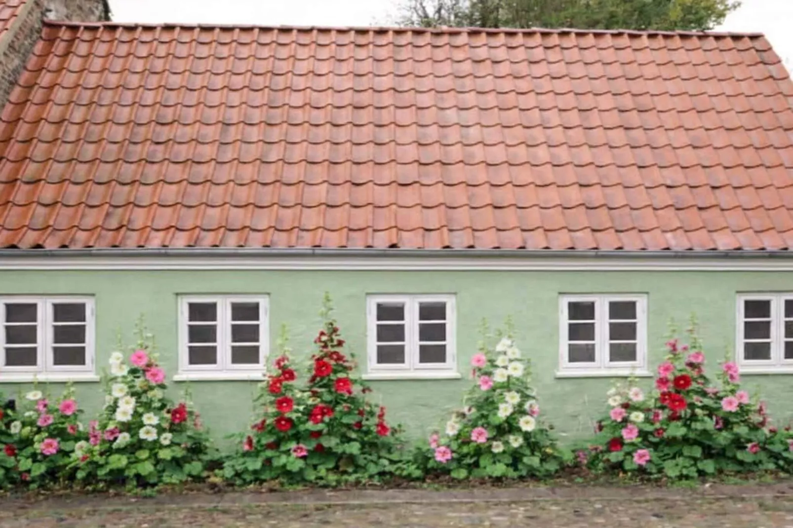 4 etoiles maison de vacances a Ringkøbing