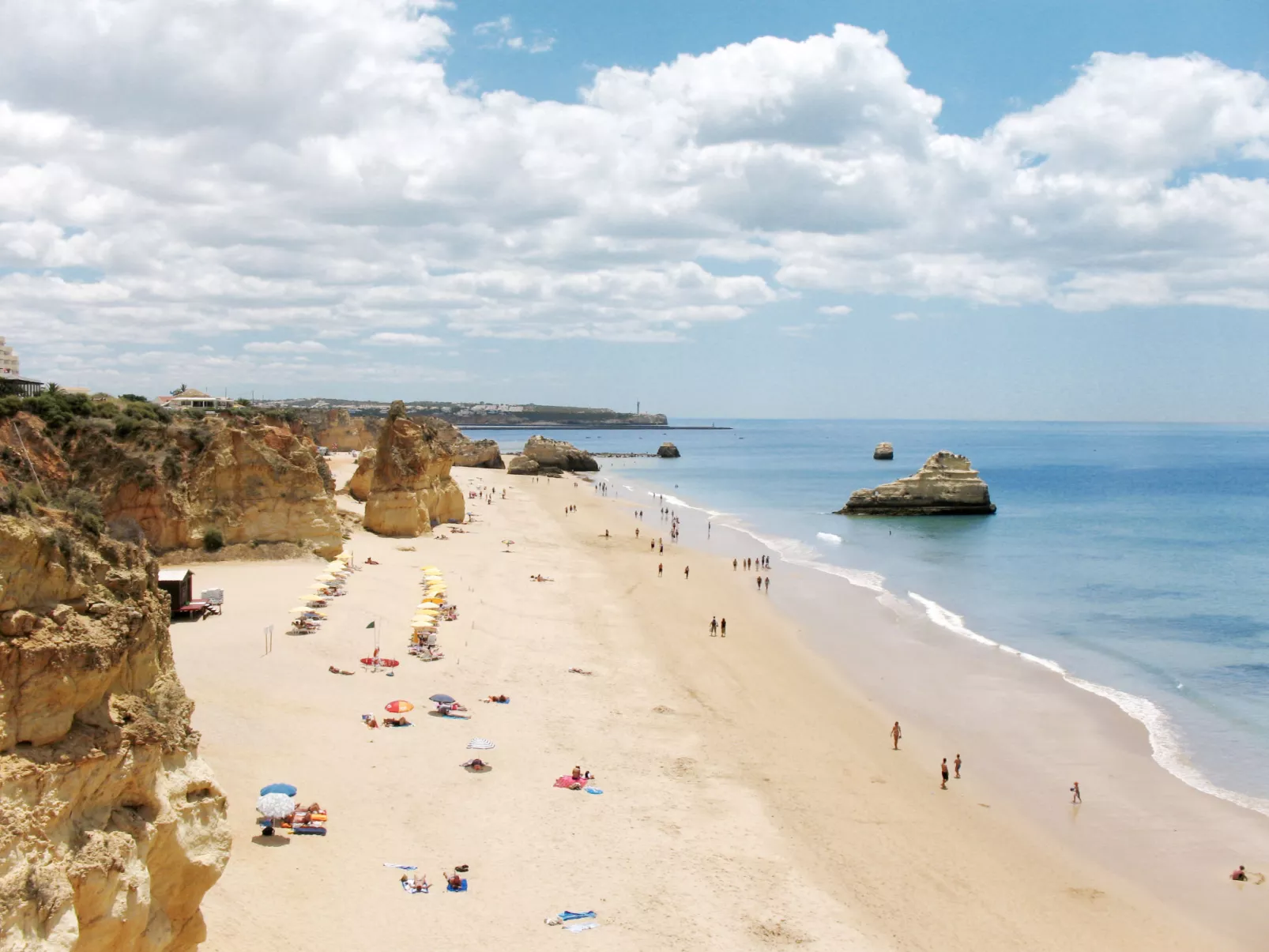 Praia da Rocha Sea View-Area