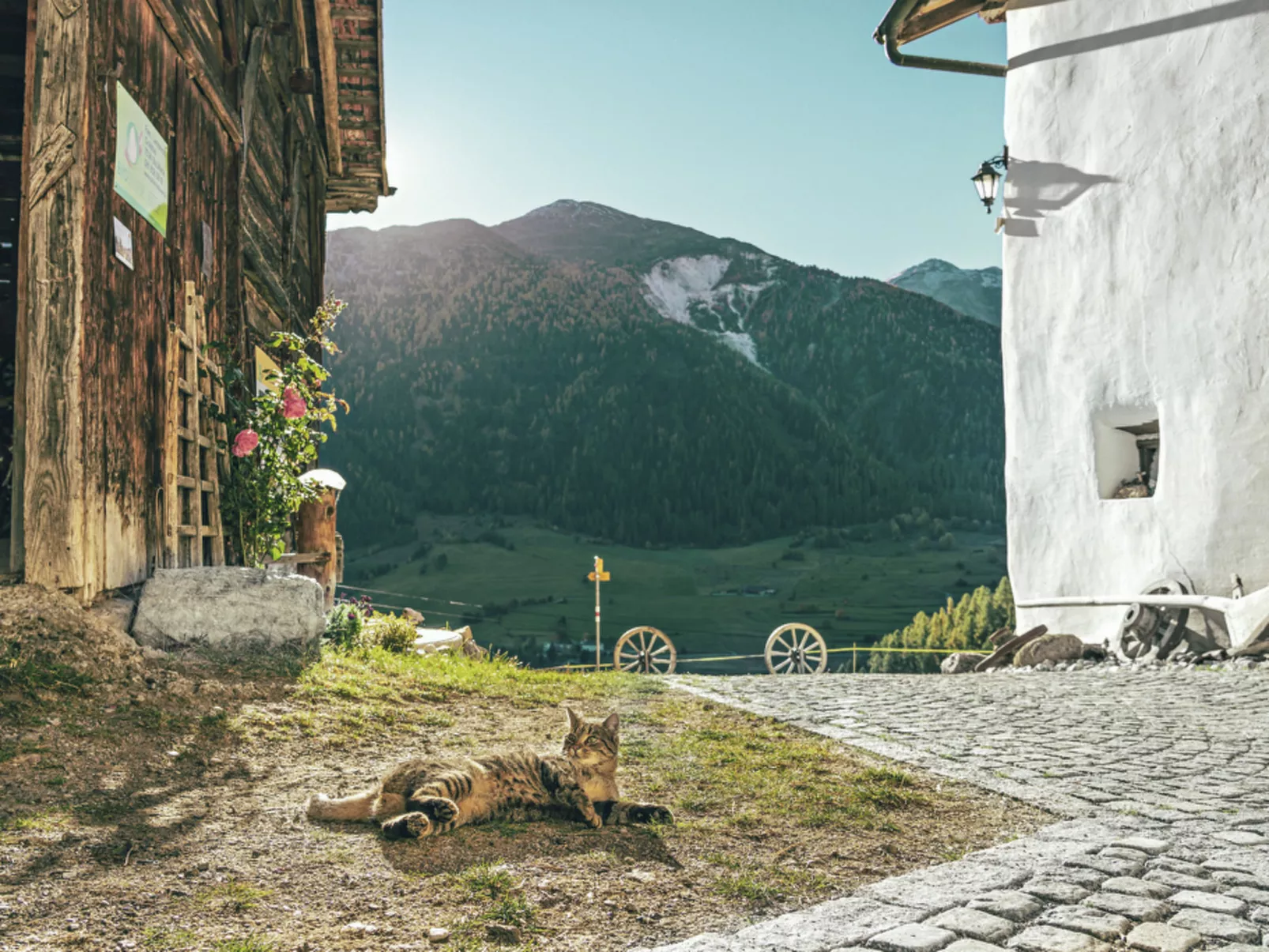 Agrotourismus Pütschai Josom, (Sta. Maria - Santa Maria Val Müstair).
