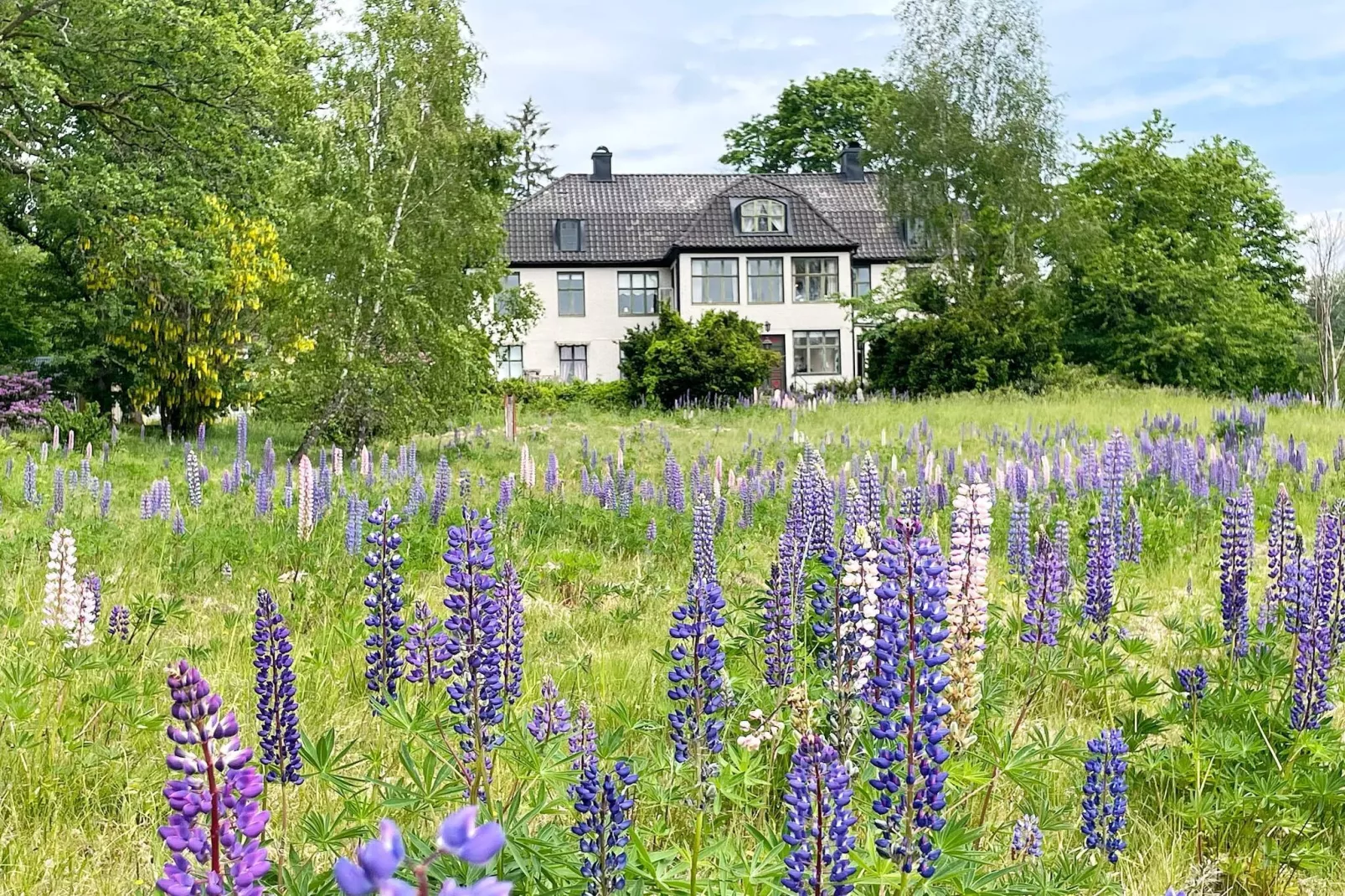 4 star holiday home in Olofström
