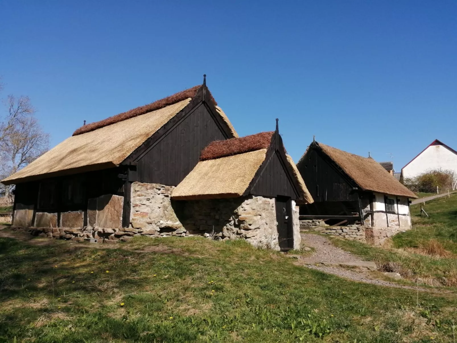 "Vamika" - 300m from the sea