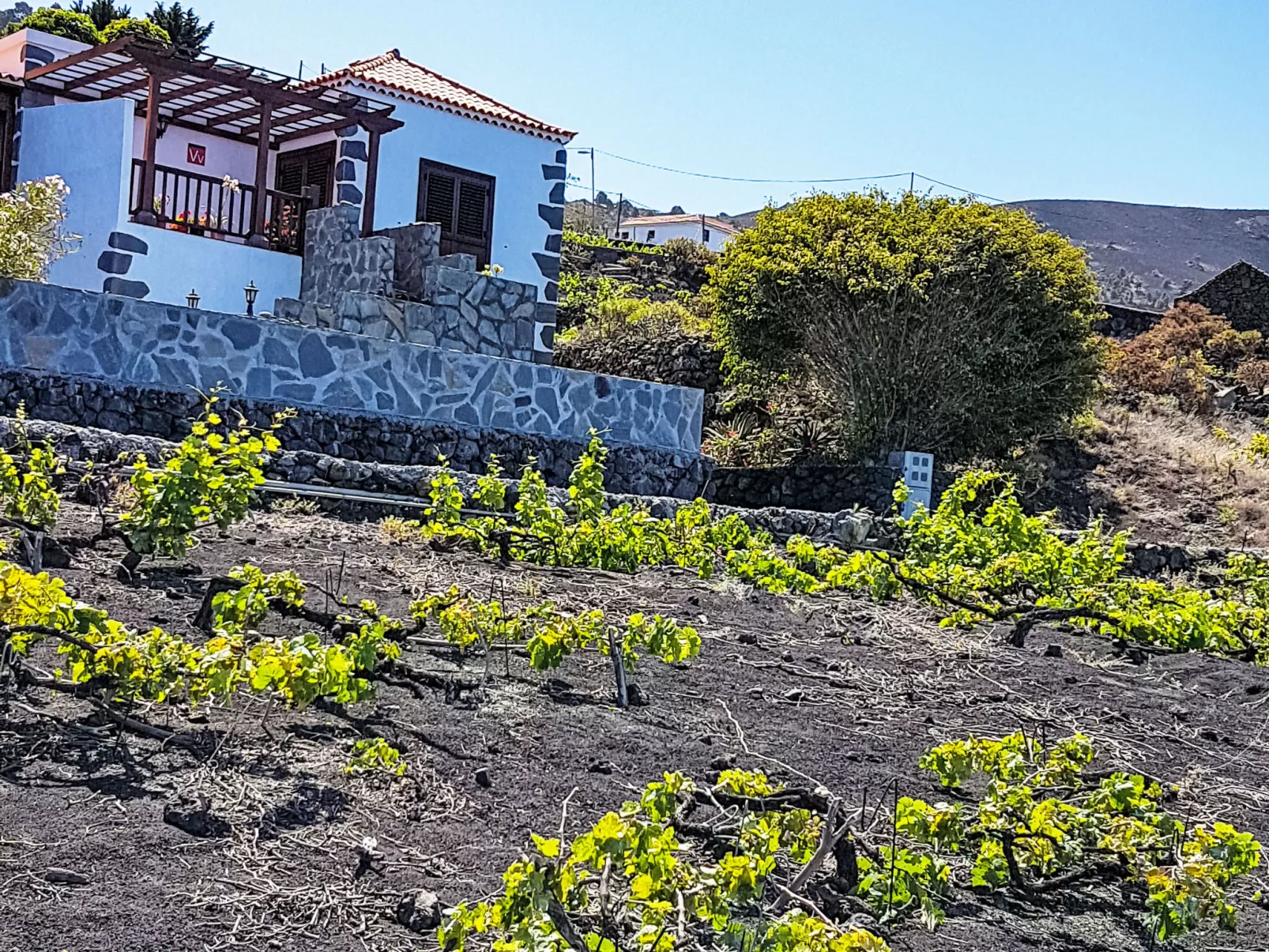"Las Viñas" mit Wasserblick
