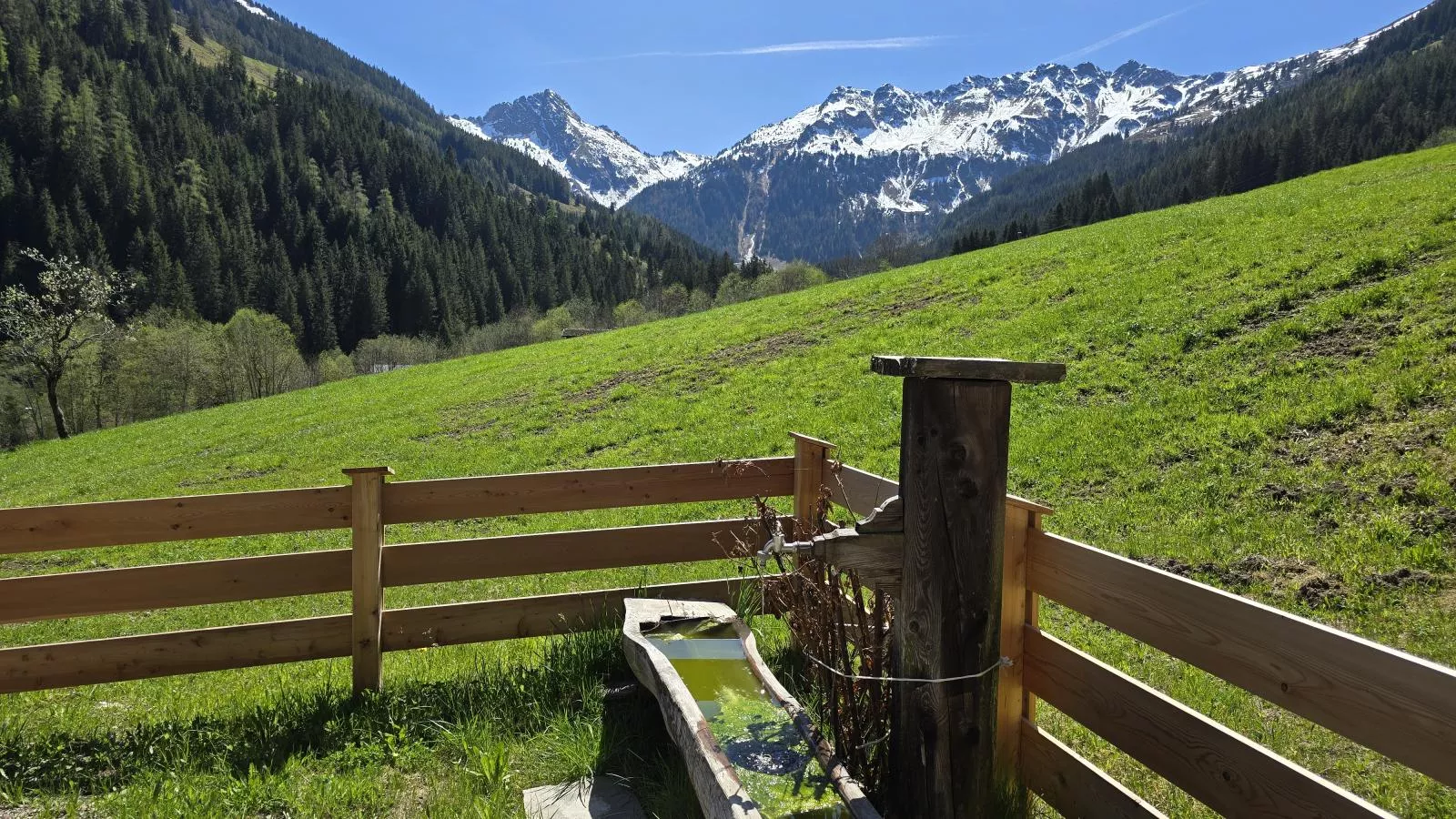 Hacklerhof Top 1 - Garten Sommer