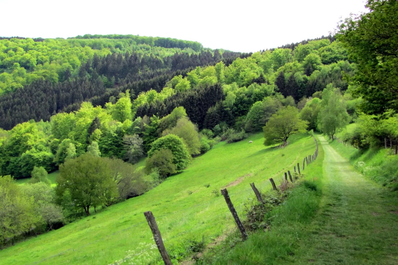 Le Ruisseau - Areas within 5km in summer