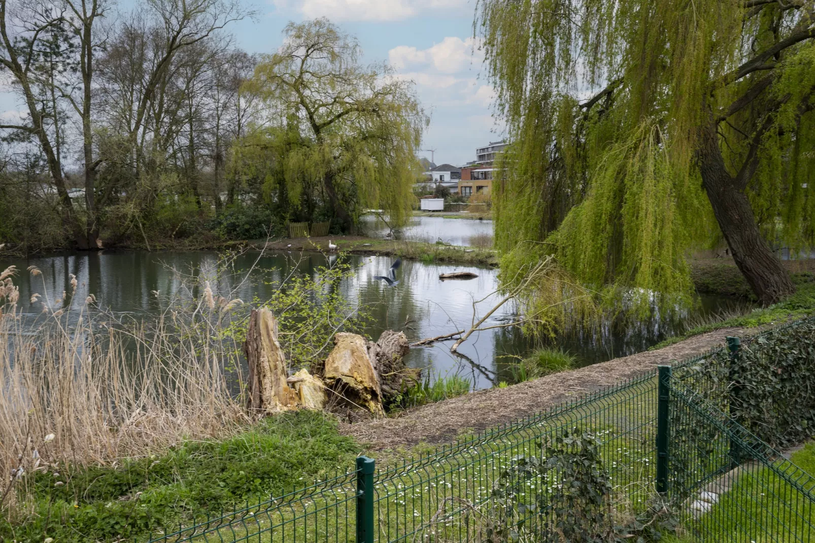 La Rive du Lac