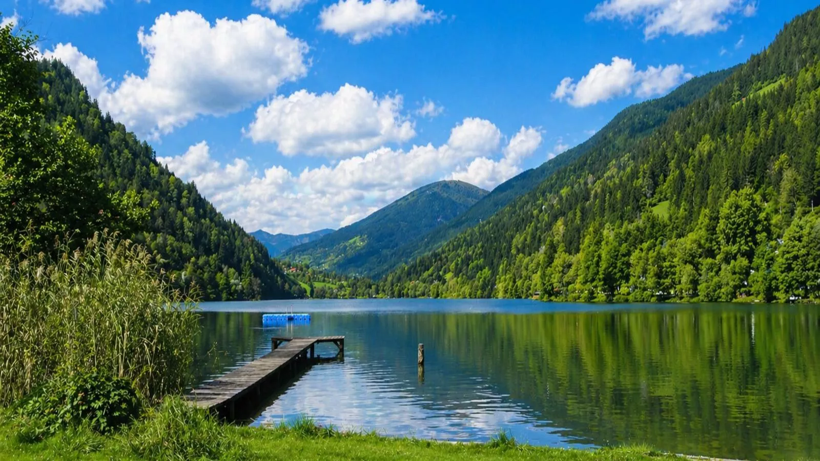 Alpenzeit Afritz am See - Areas within 1km in summer