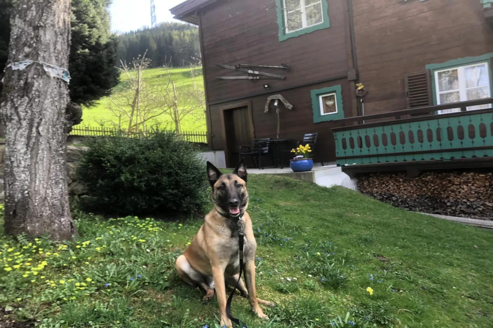 Chalet Anna Bramberg - Garten Sommer