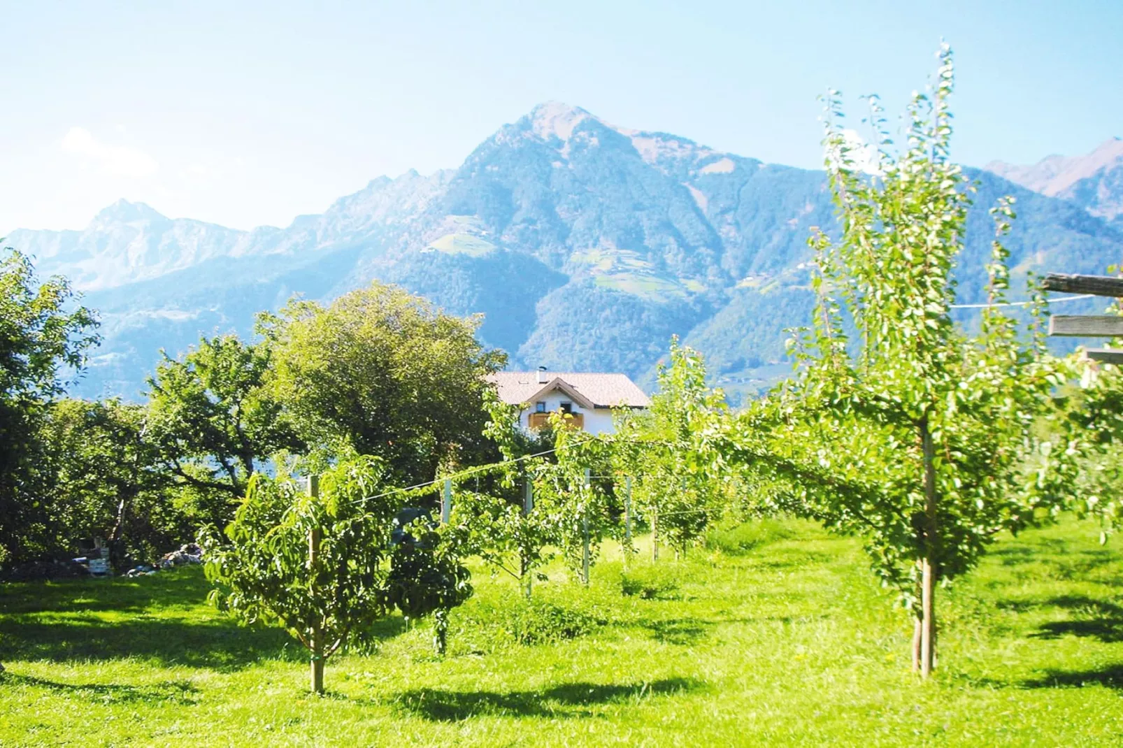 Apartments Etschland - Bilo - Gardens in summer