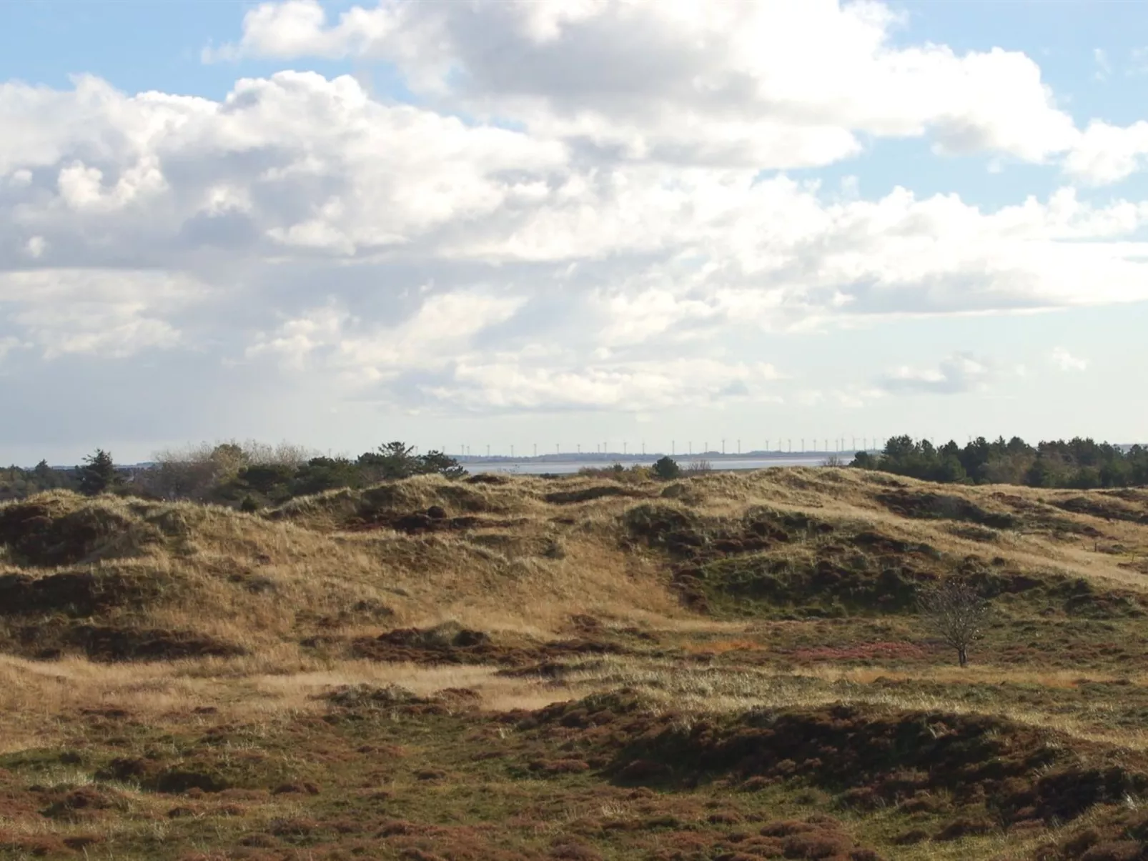 "Inga" - 1.3km from the sea