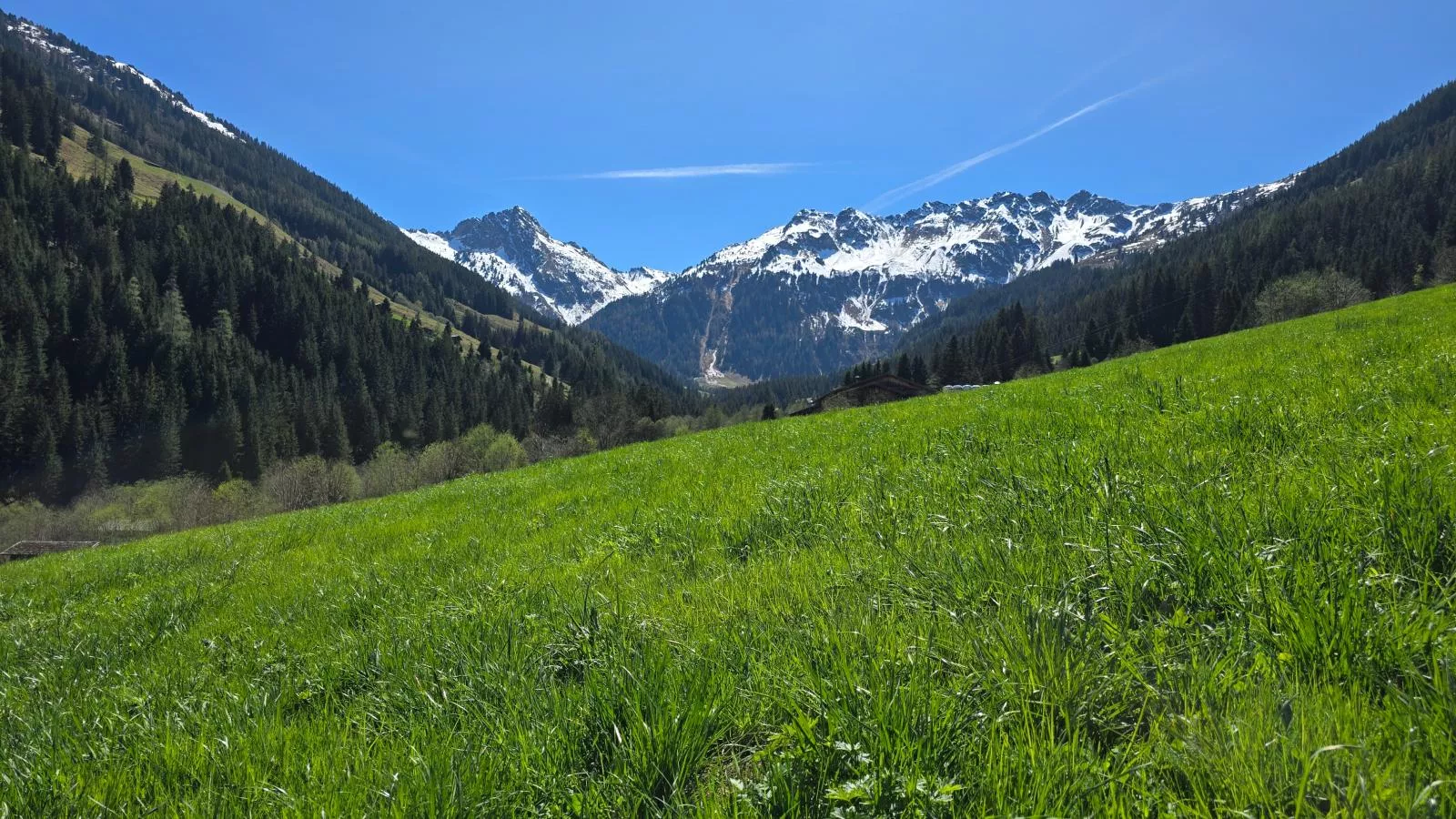 Hacklerhof Top 2 und 3 - Vue d'été