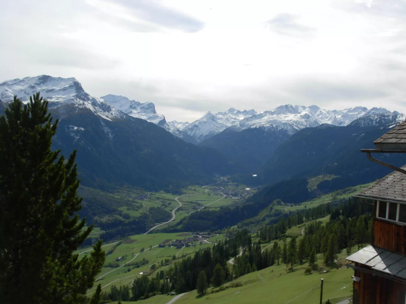 Tgea Beala Vesta, (Lohn).