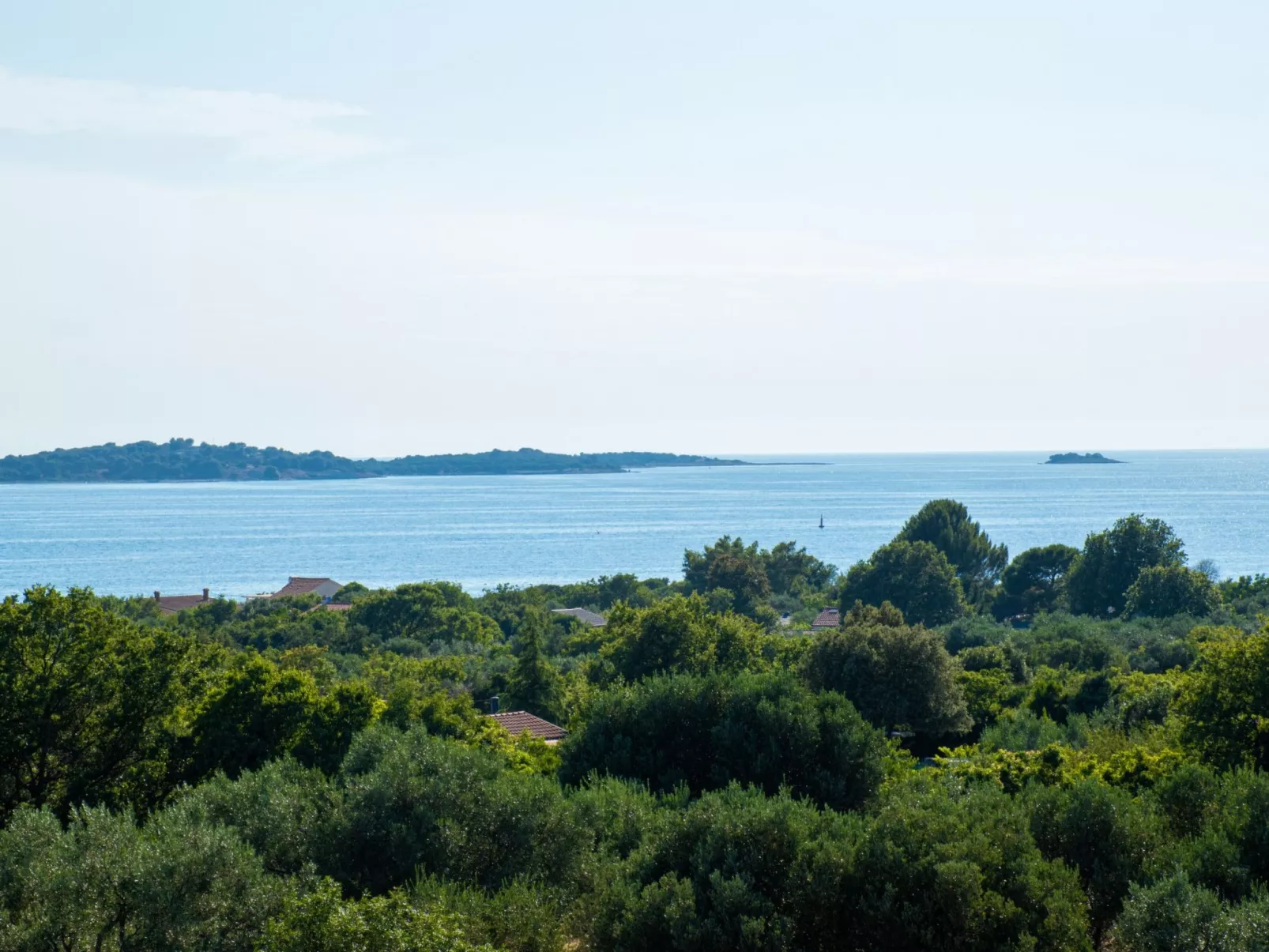 Villa Nini House