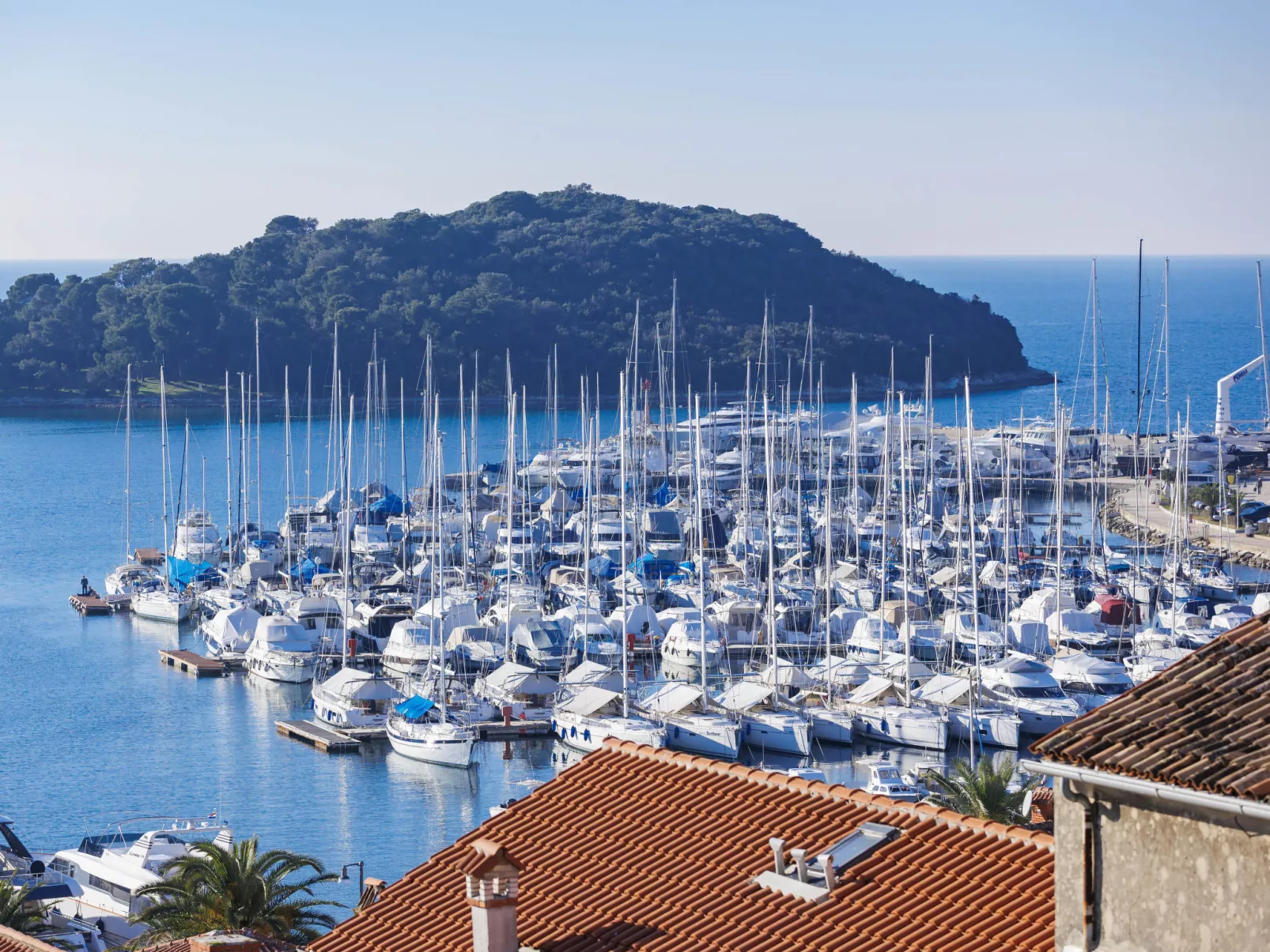 Seaview Marina