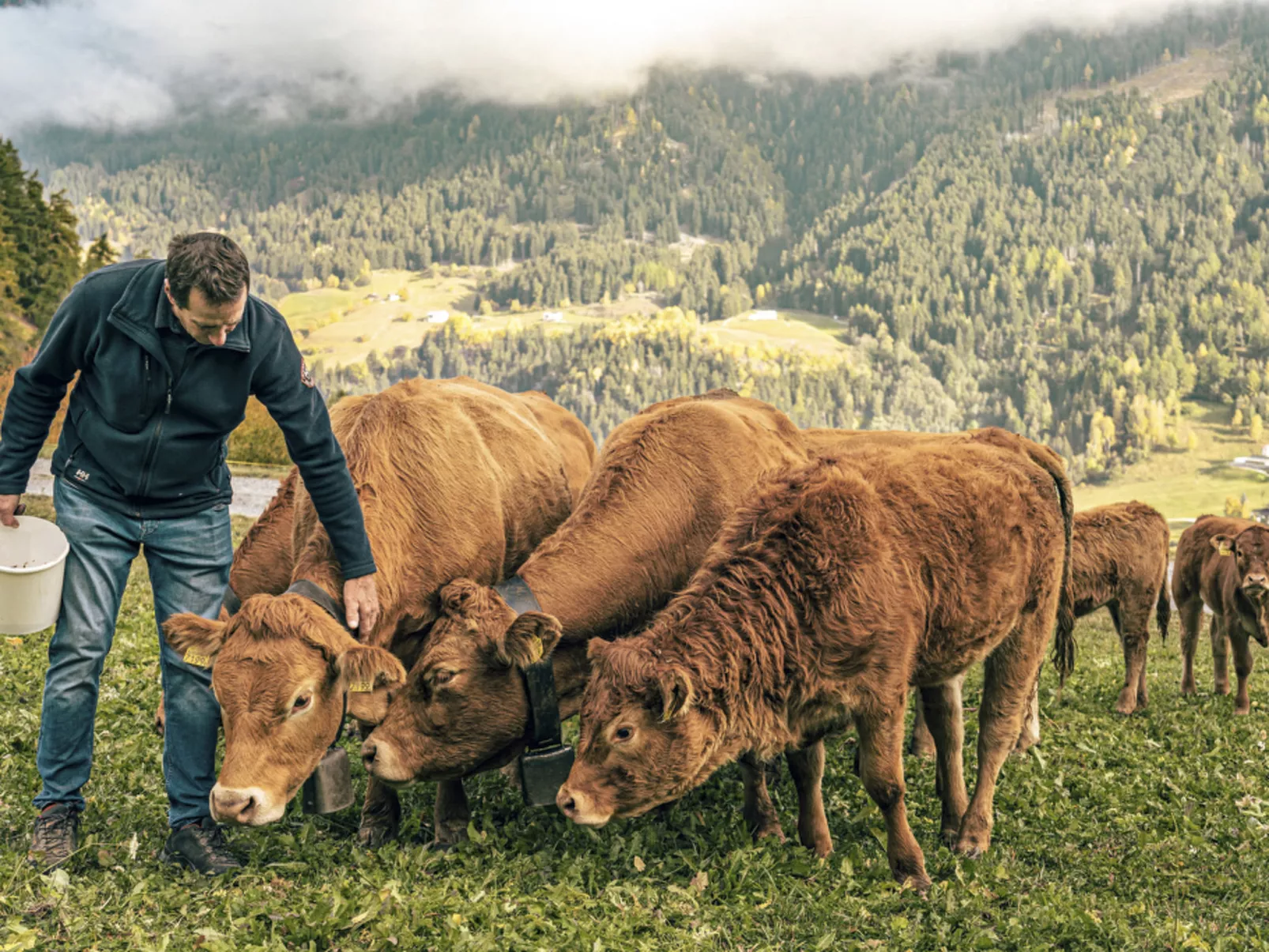 Agrotourismus Pütschai Josom, (Sta. Maria - Santa Maria Val Müstair).