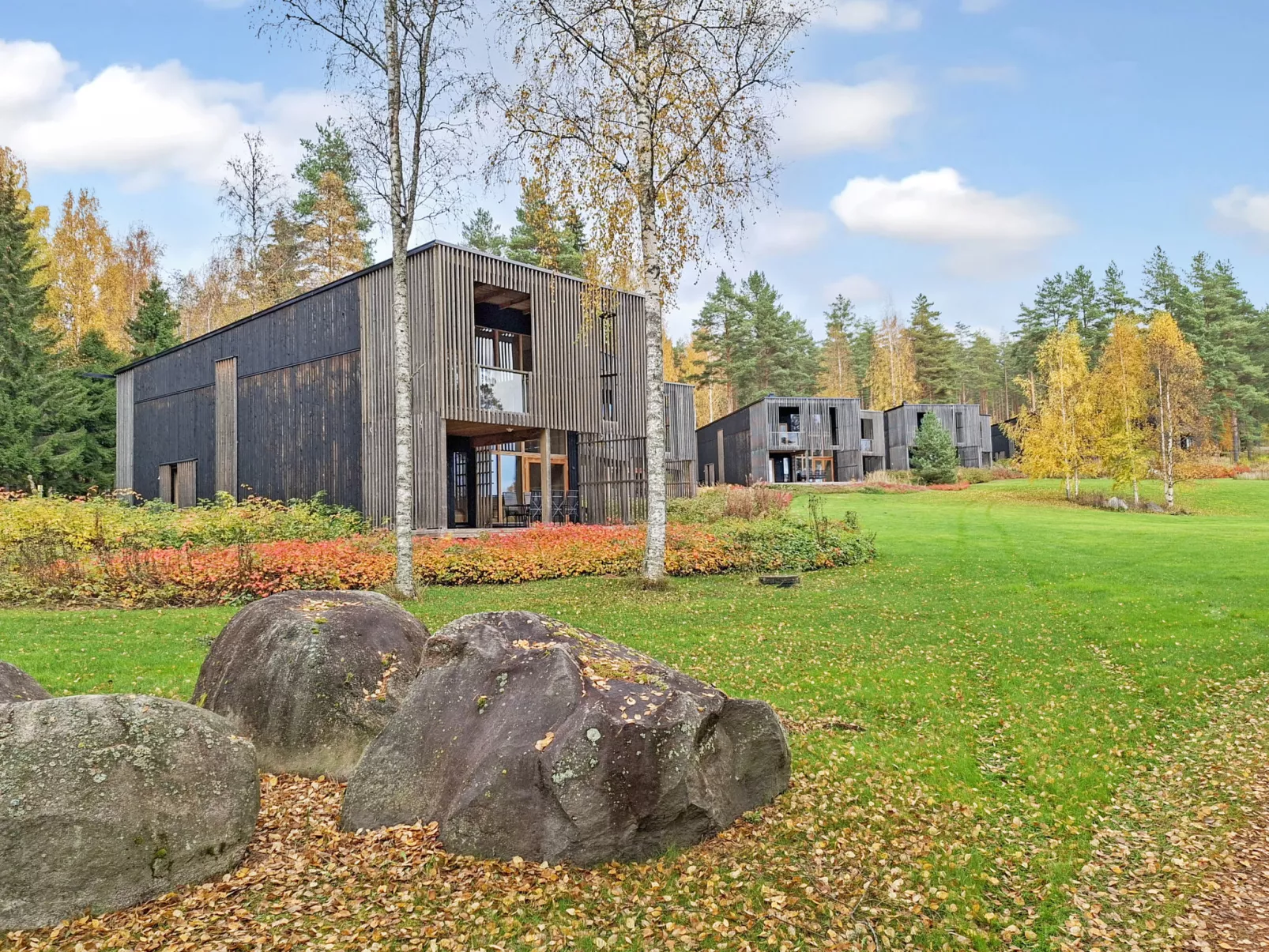 Villa sinikka 1