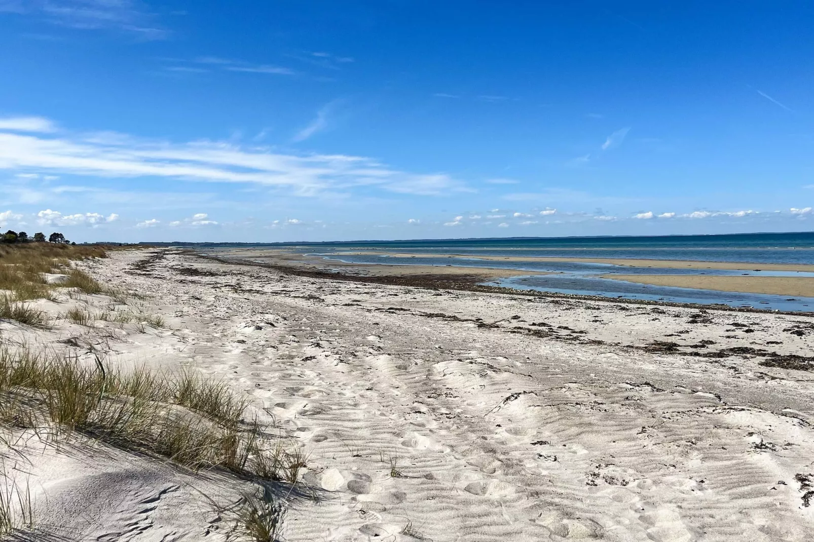 Maison de plage avec annexe - Vue
