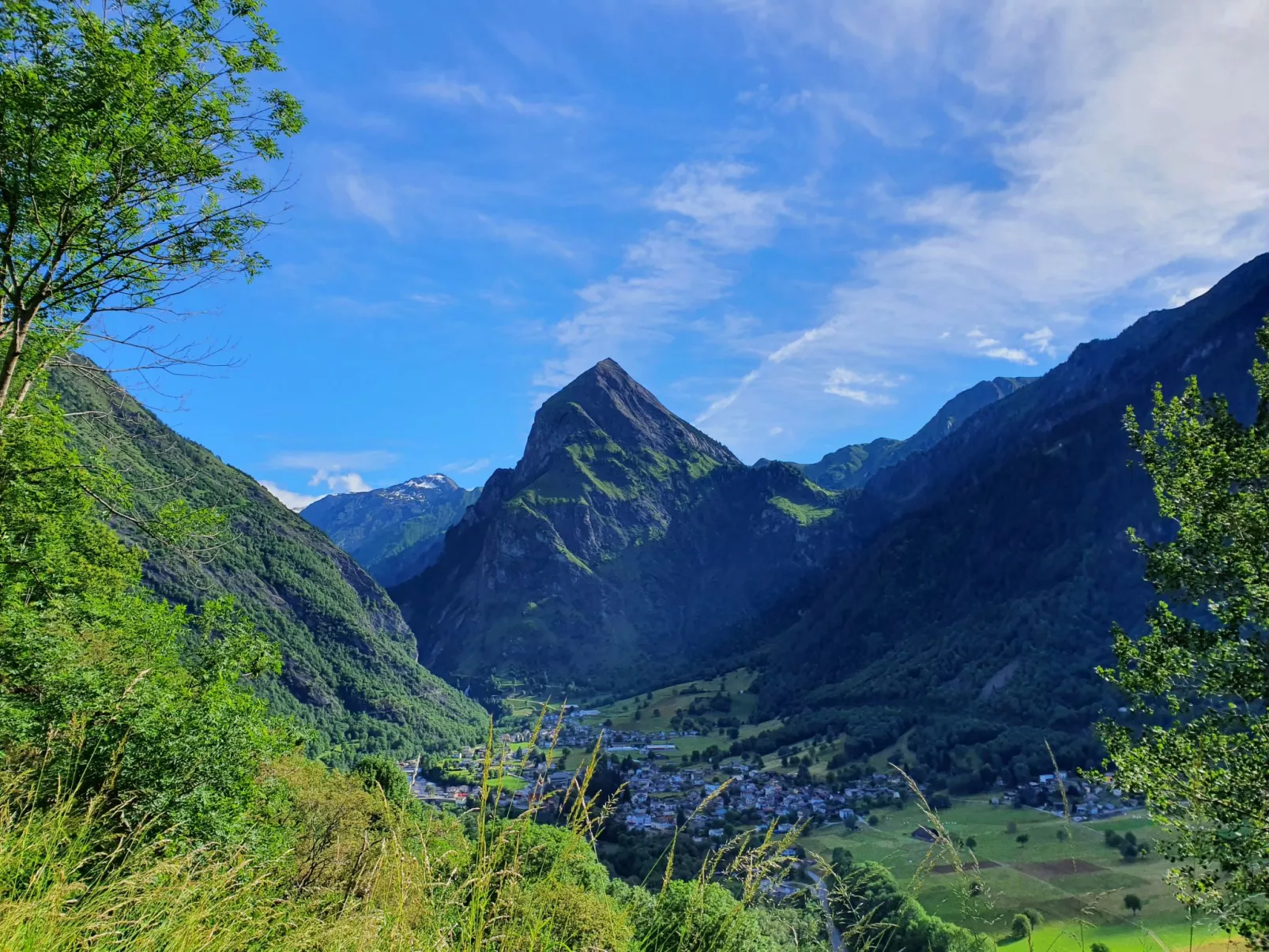 Rustico De Leoni - Area