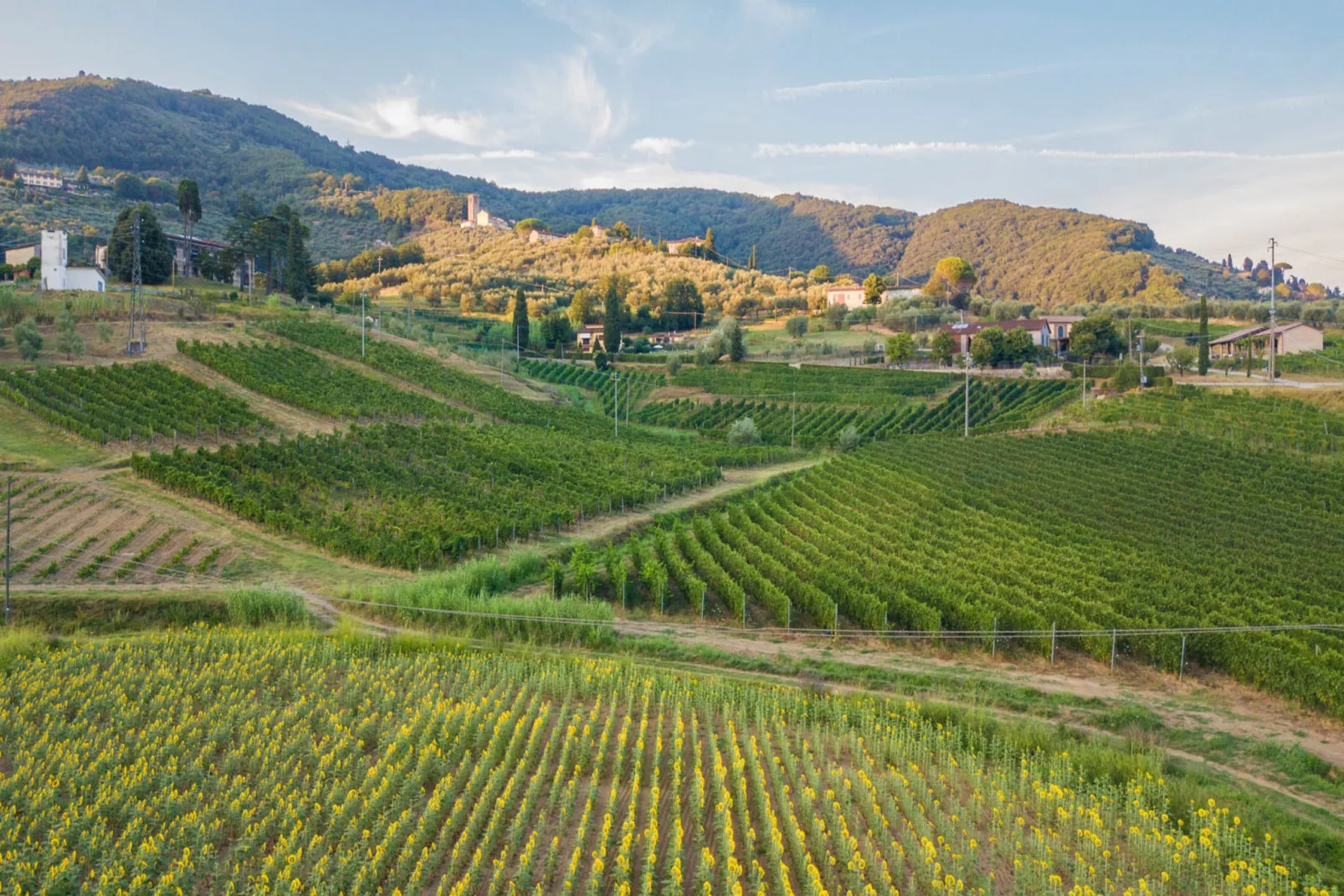 Valle del Sole Winery Farmhouse