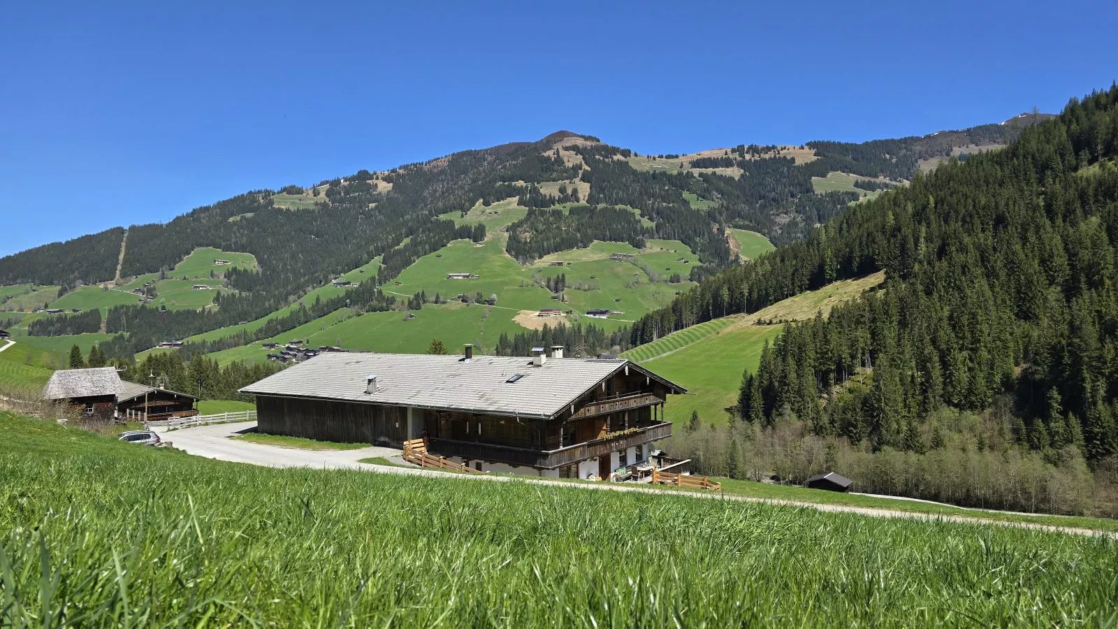 Hacklerhof Top 3 - Exterior in summer