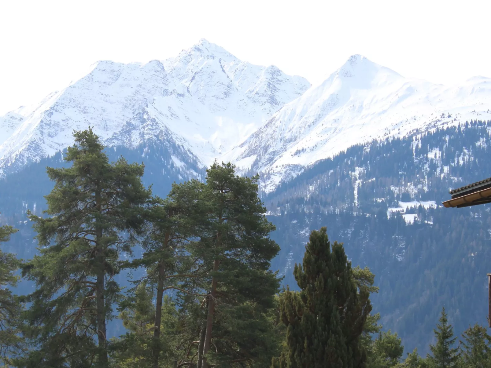 Casa Pignia - Roth, (Laax GR). 3-Zimmerwohnung