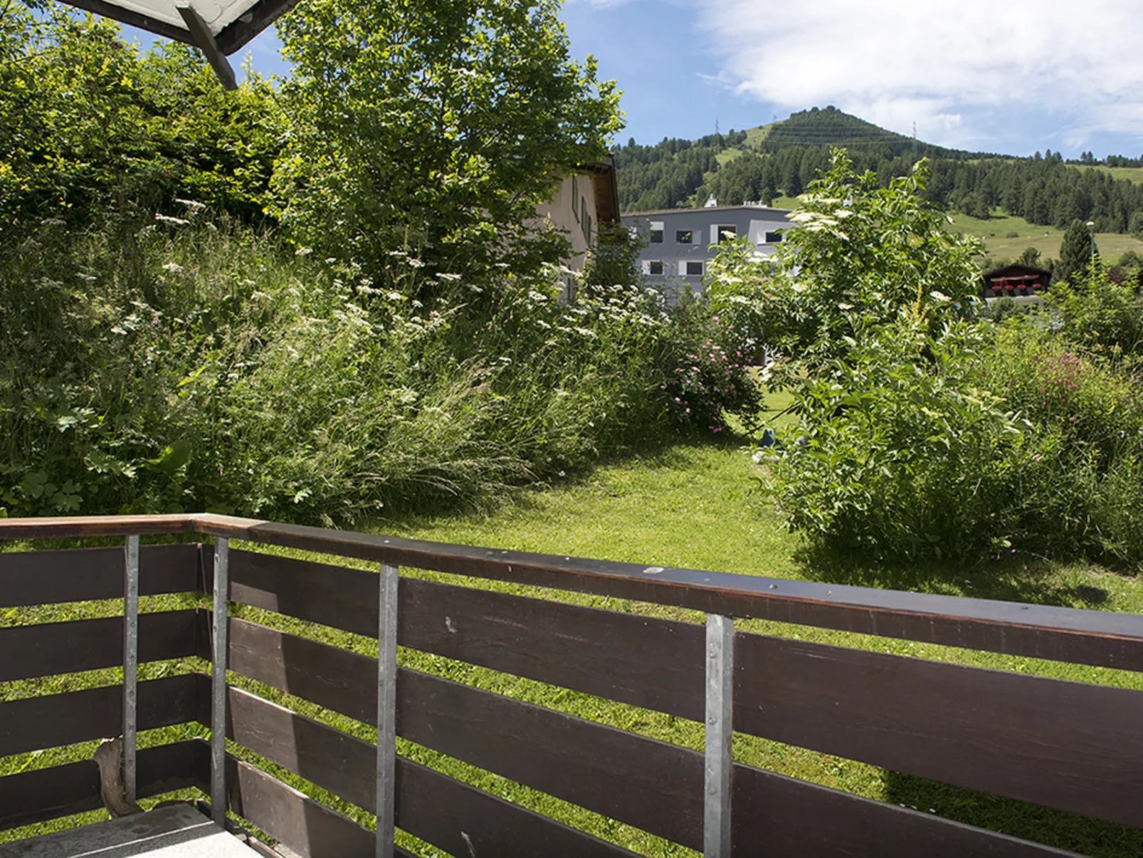 LANIUS, (Scuol).