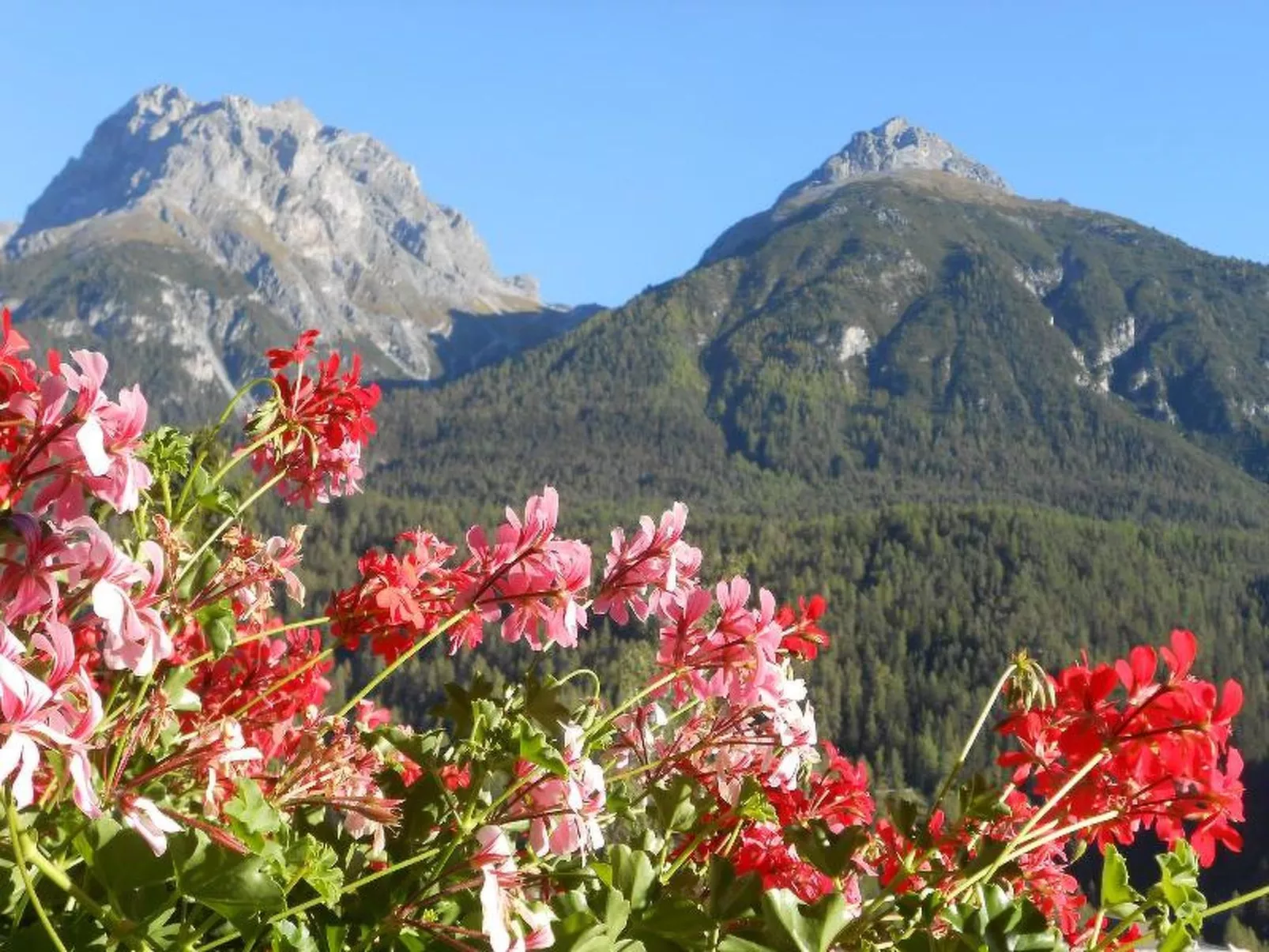 STEINMANN, (Scuol).