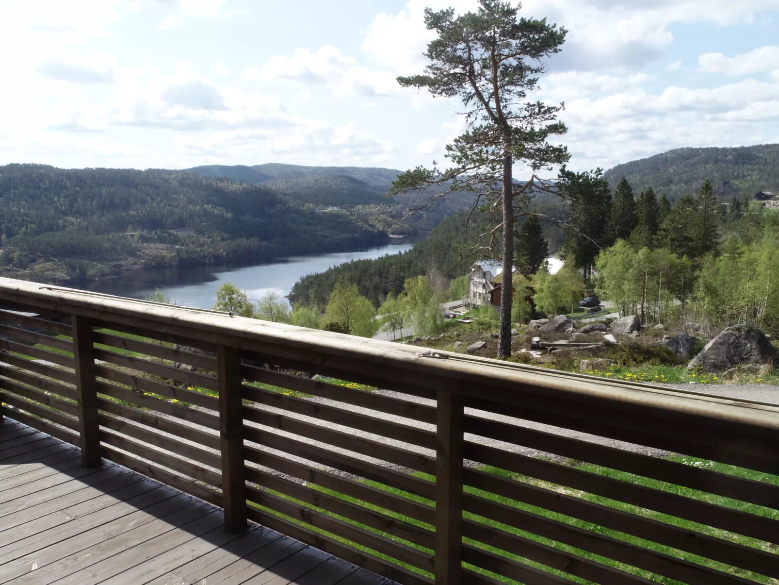 Fjellkos