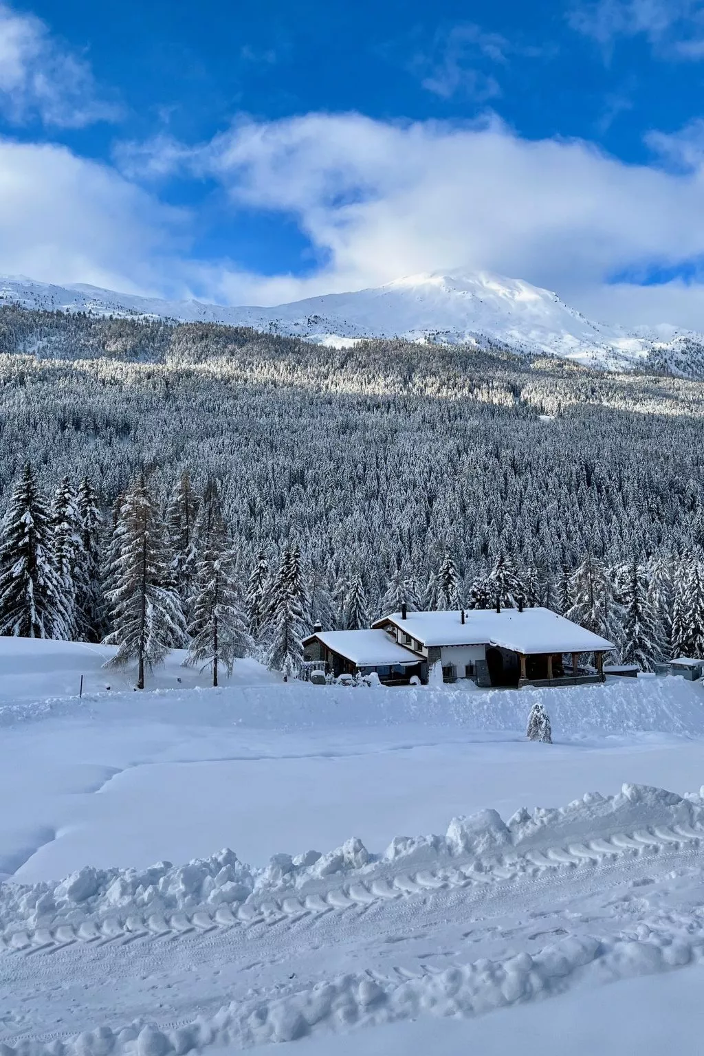 Chasa al Battaporta, (Tschierv).