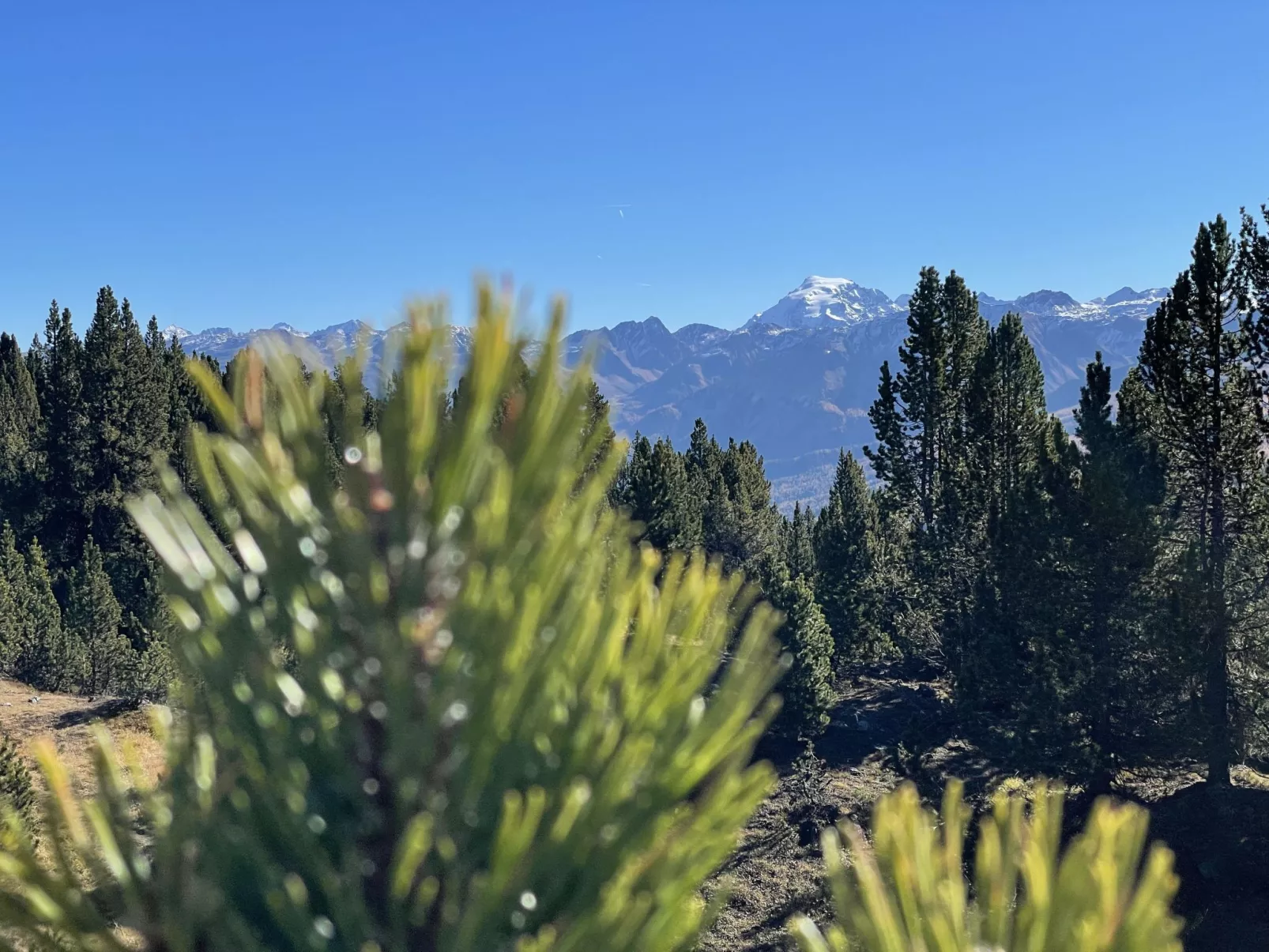 Chasa Sumovia, (Sta. Maria - Santa Maria Val Müstair).