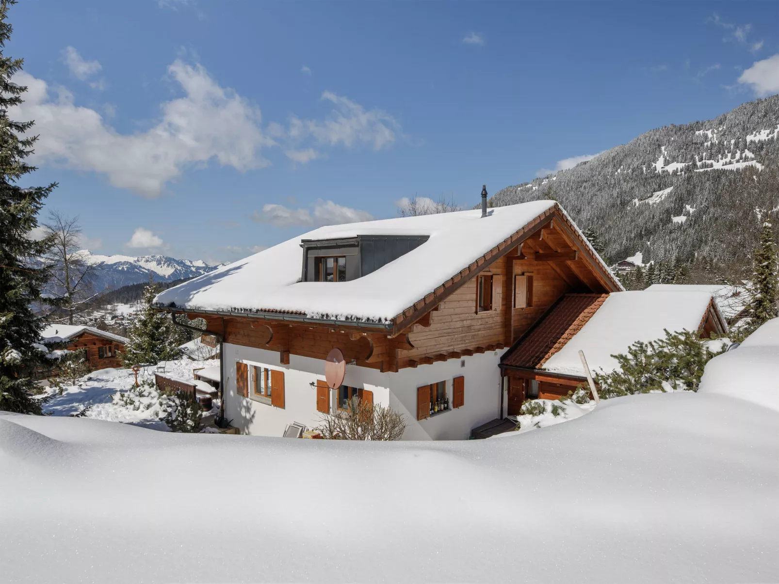 Chalet Petit Pont - Dehors