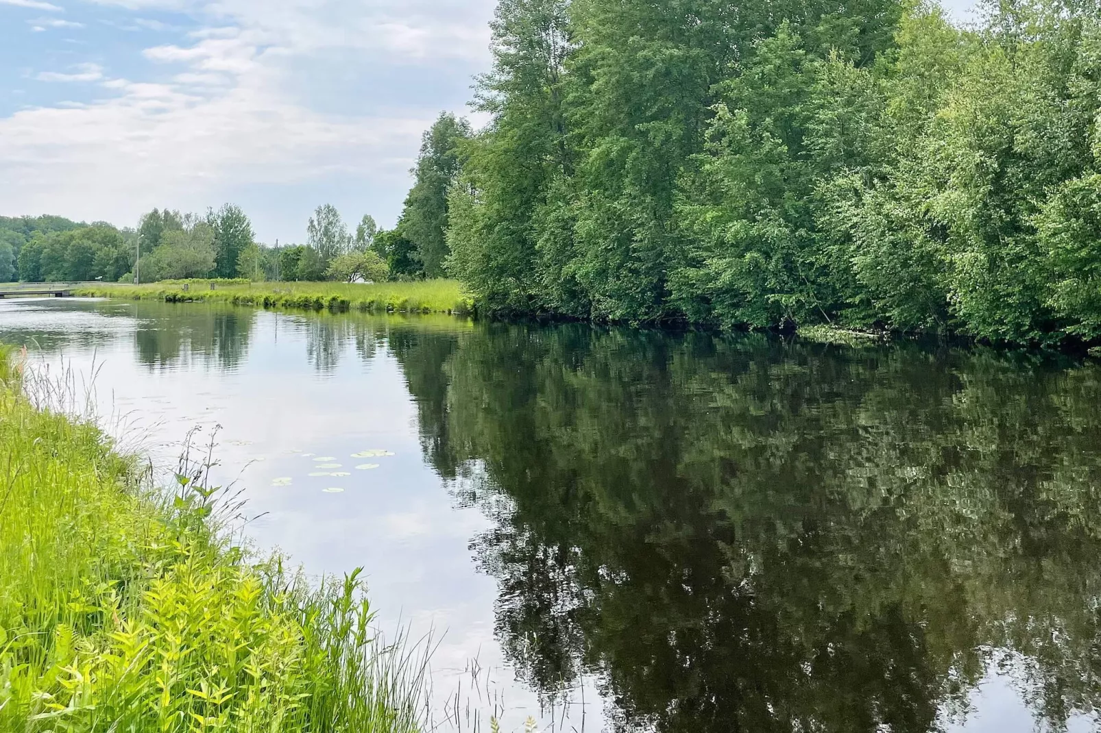 4 star holiday home in Olofström - Outdoor