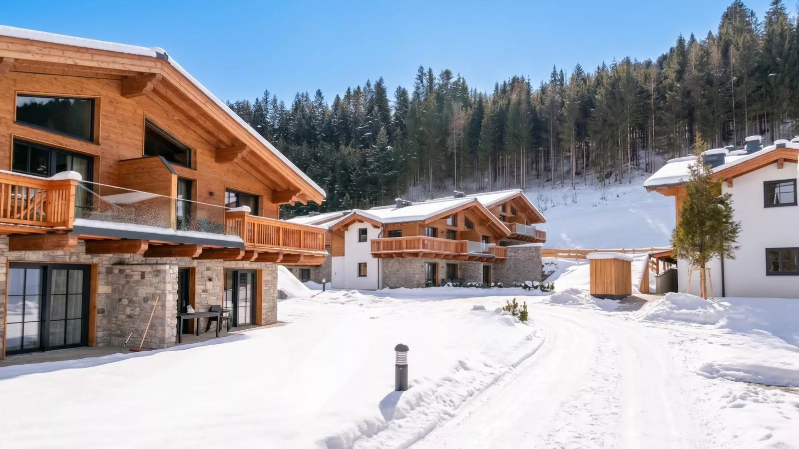 Tauernlodge Eben A3 - Außenbereich Winter