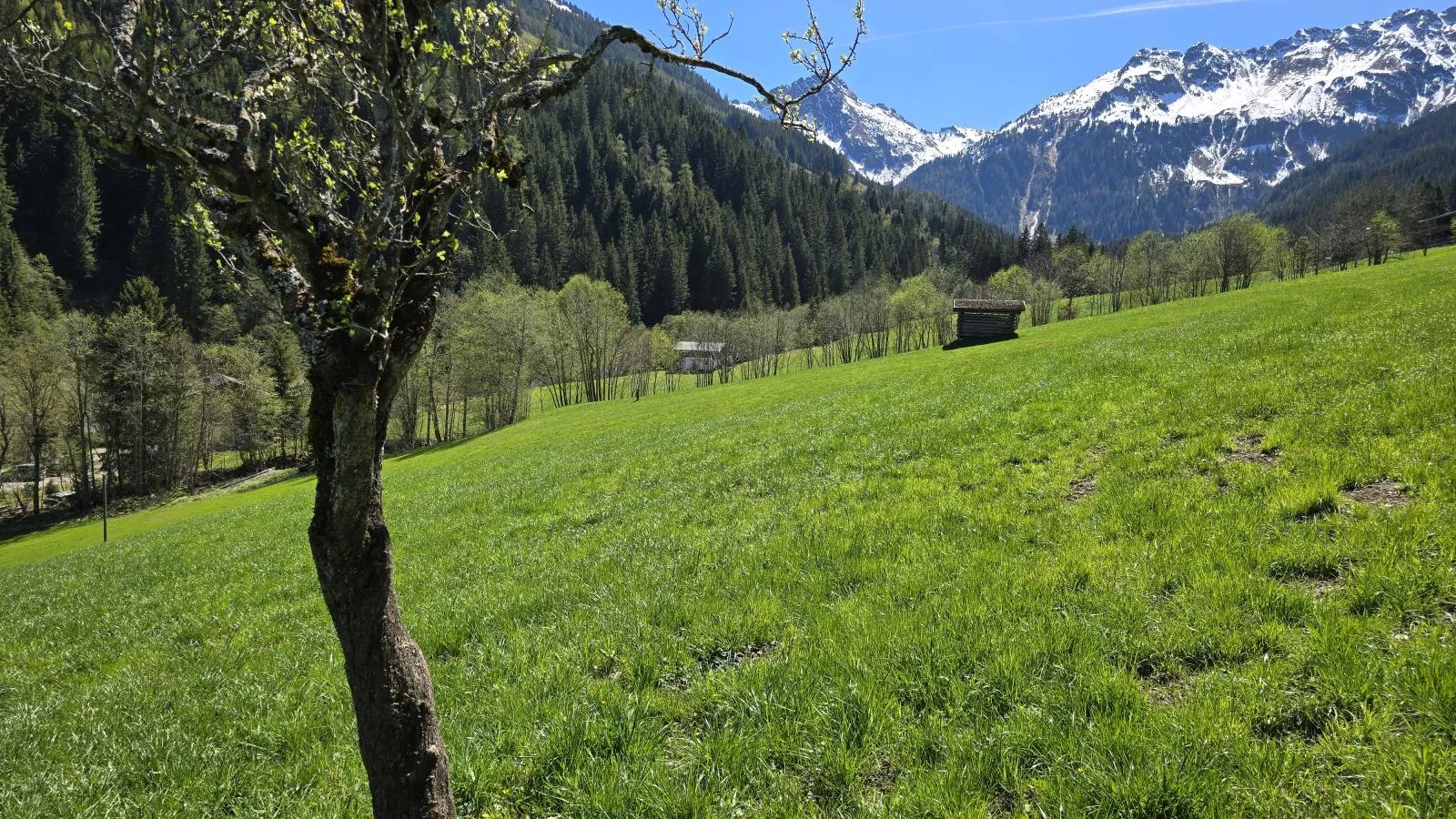 Hacklerhof Top 3 - View in summer
