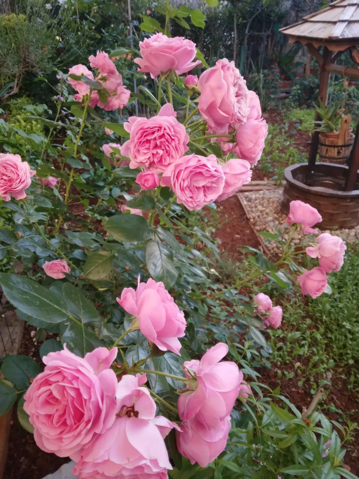 Apartment 358 - Draußen