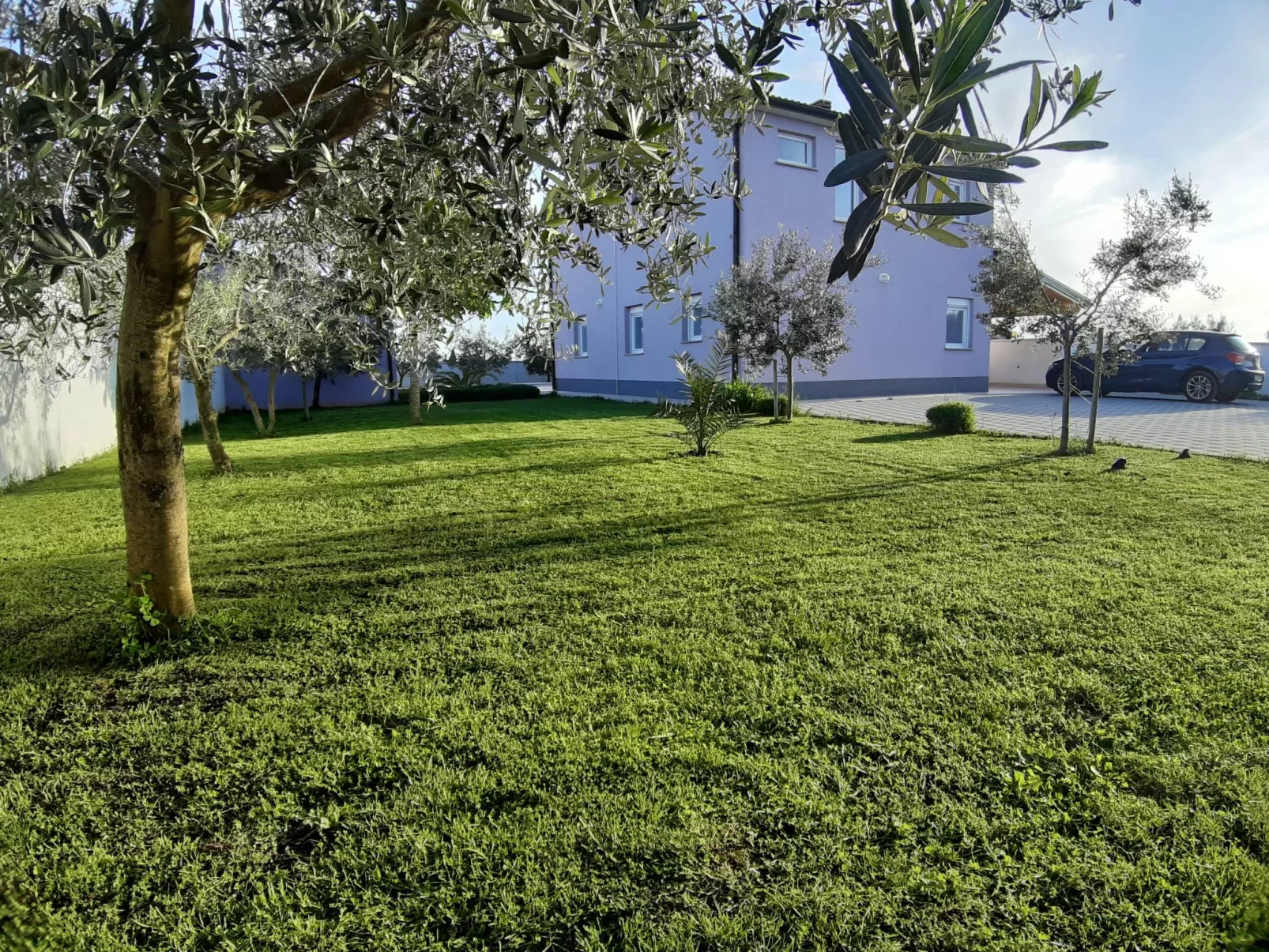 Villa Zeus - Outside