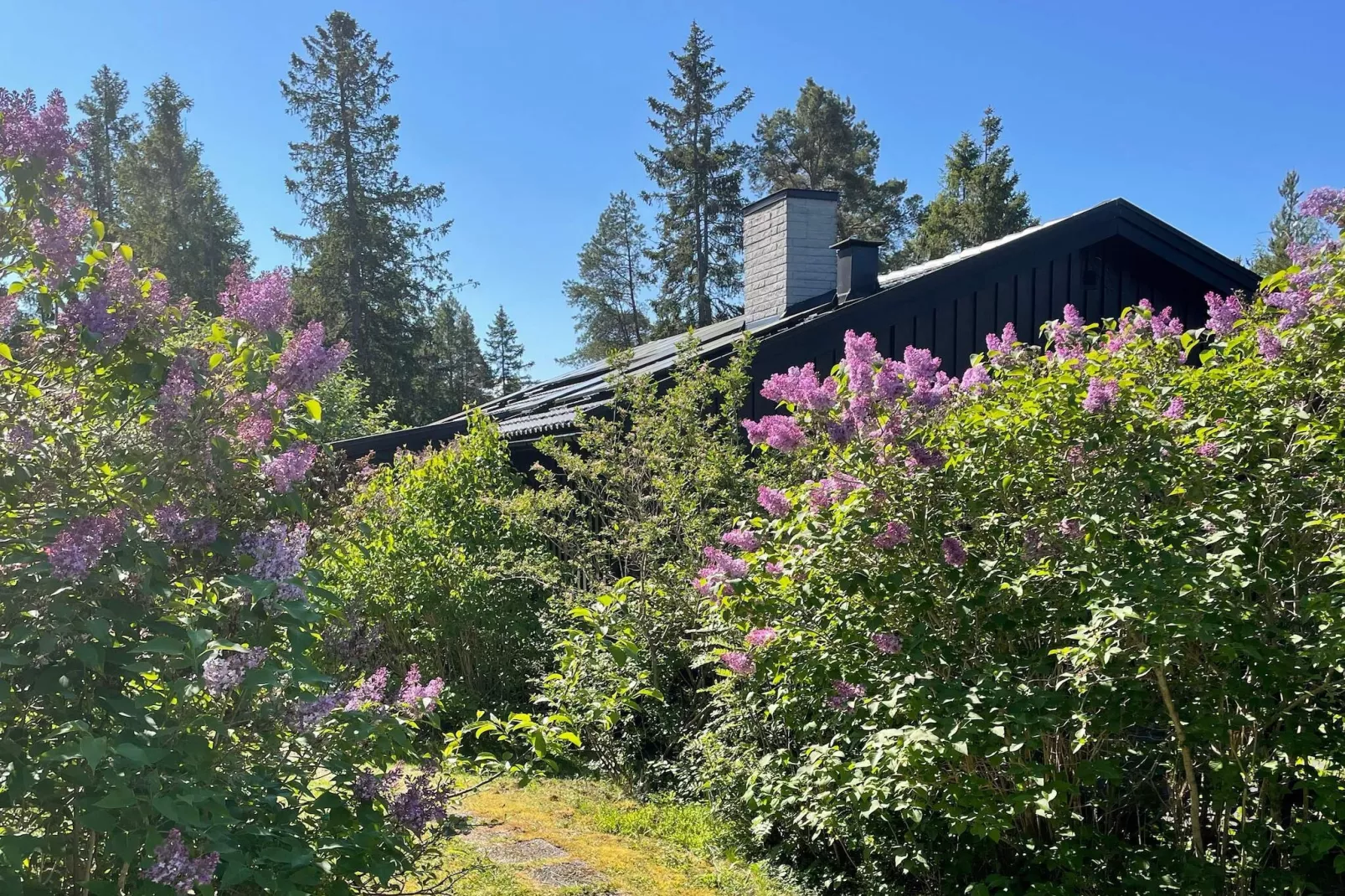 4 etoiles maison de vacances a GRISSLEHAMN - Extérieur