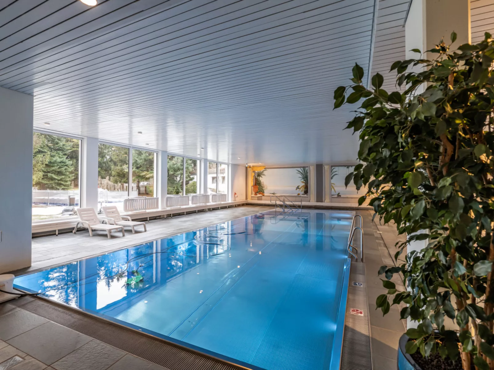 Rancho 121, (Laax Uletsch). 2.5 Zimmerwohnung, 70m², Dusche, sep. WC, für 3 Per - Dedans