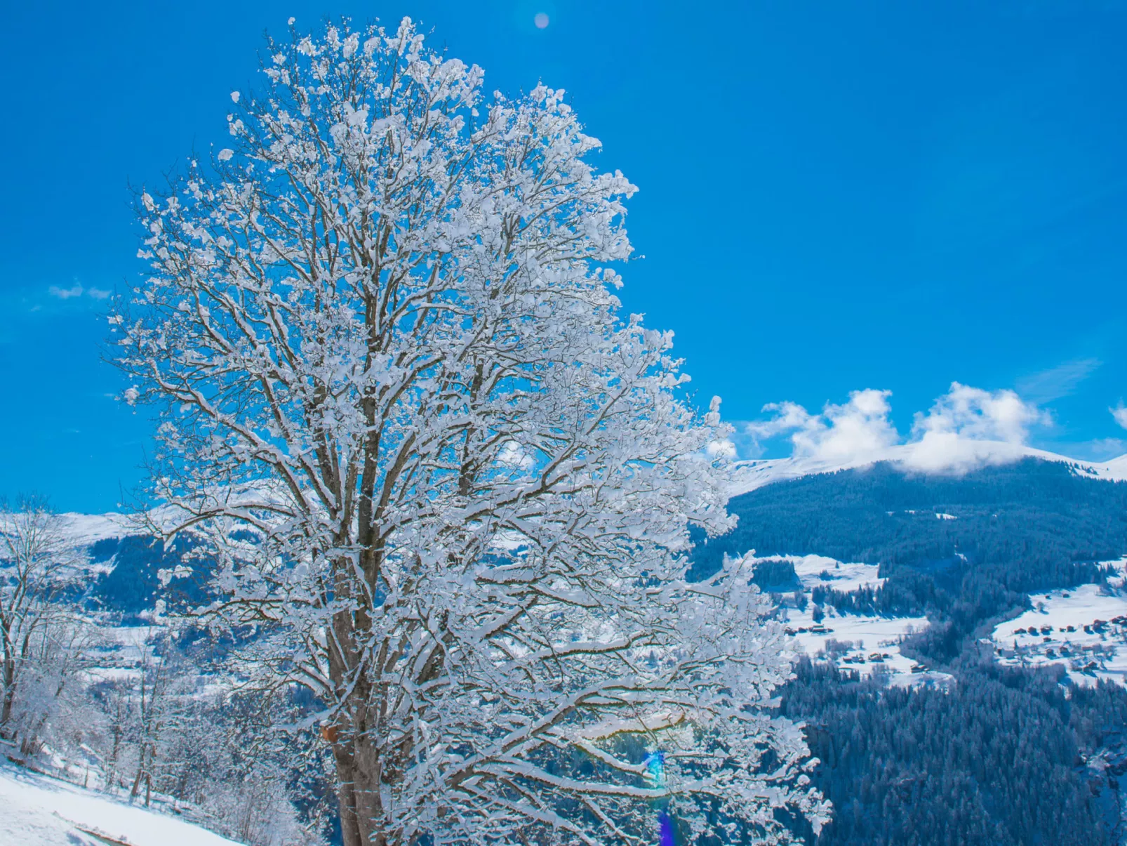 Casa Panorama Camartin, Brigels, (Breil/Brigels). - Draußen