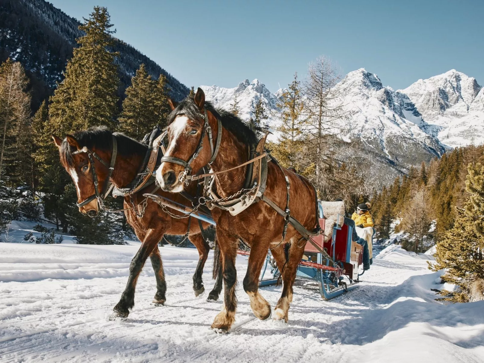 Hütte Ova Spin il Cuvel, (Zernez). - Draußen