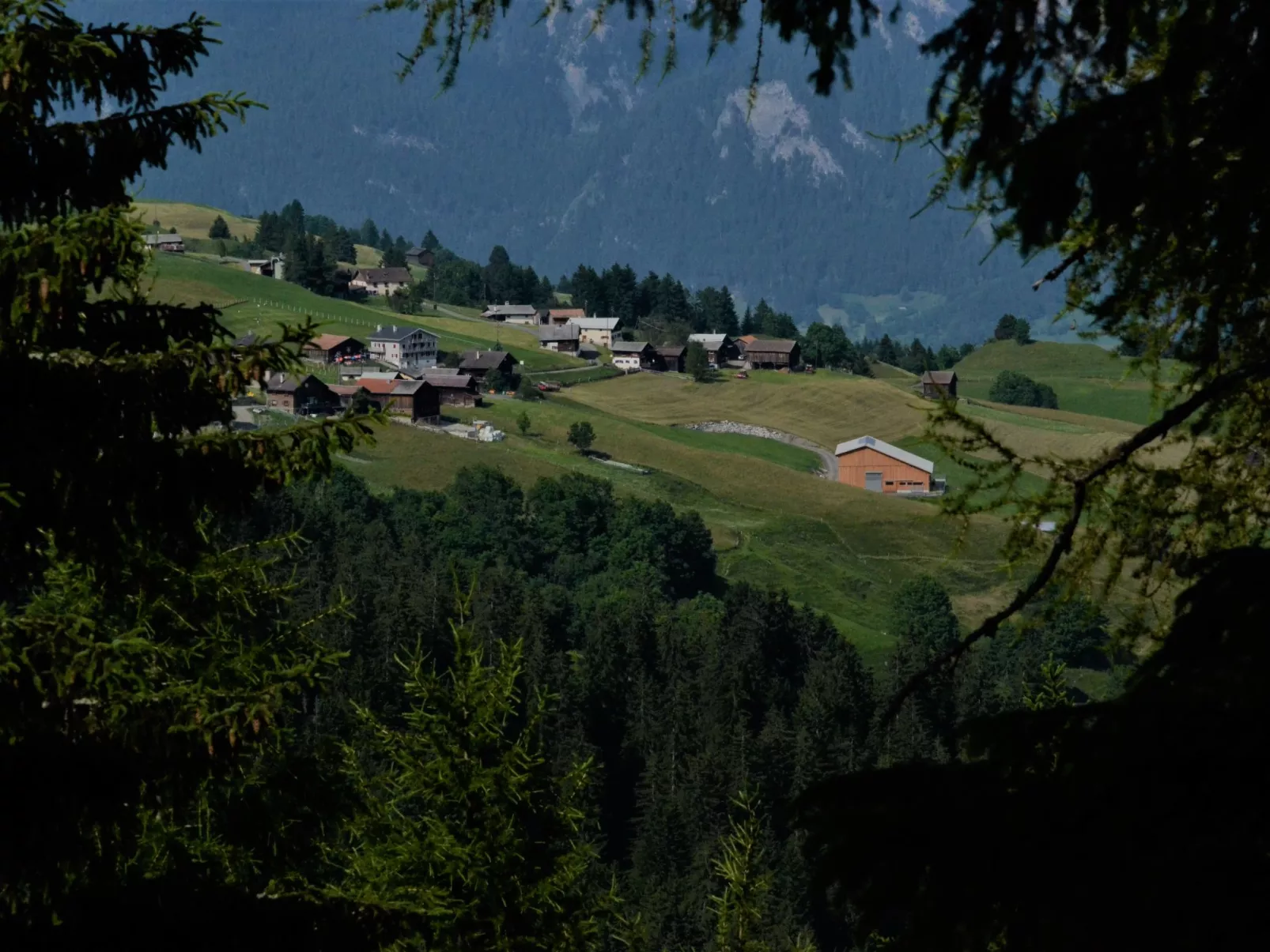Hof Beeli, (Tschappina). - Draußen
