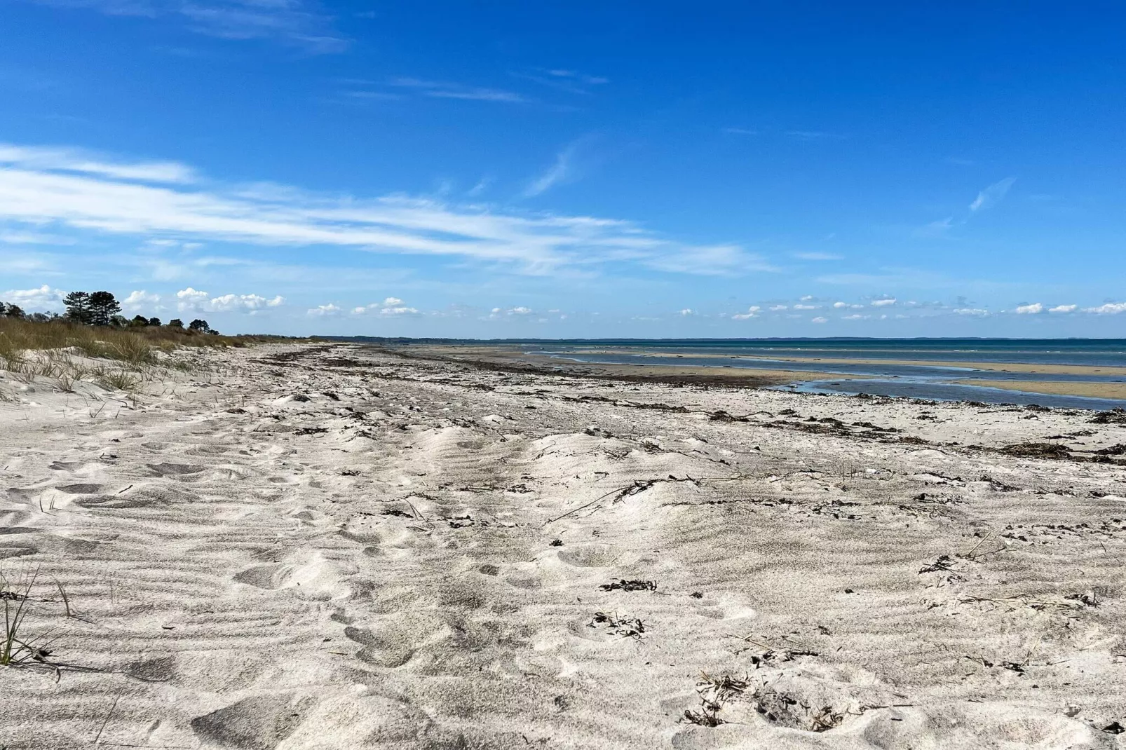 Maison de plage avec annexe - Vue
