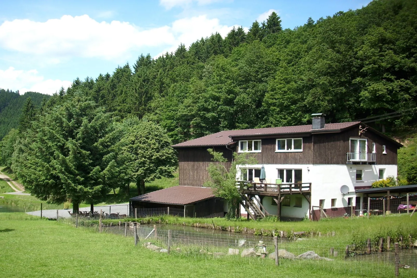Am Damwildgehege - Außenbereich Sommer
